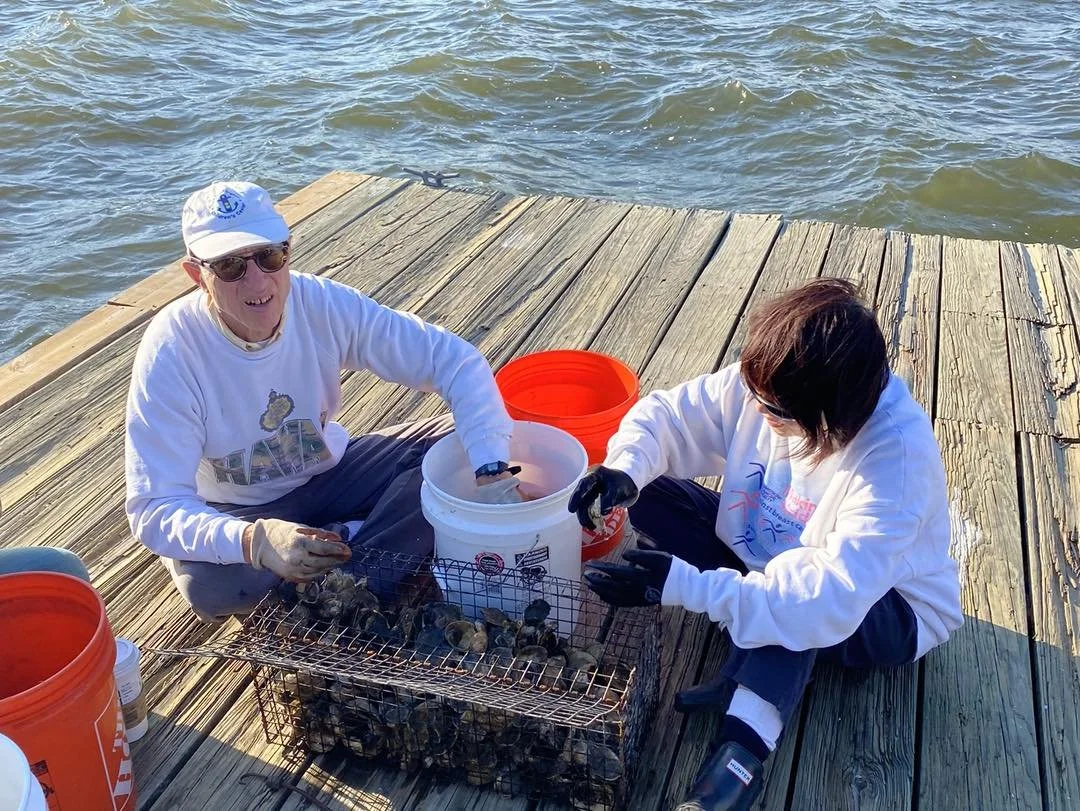 Two people sitting on a wooden dock near water, sorting shellfish into buckets with a wire basket of shellfish between them.