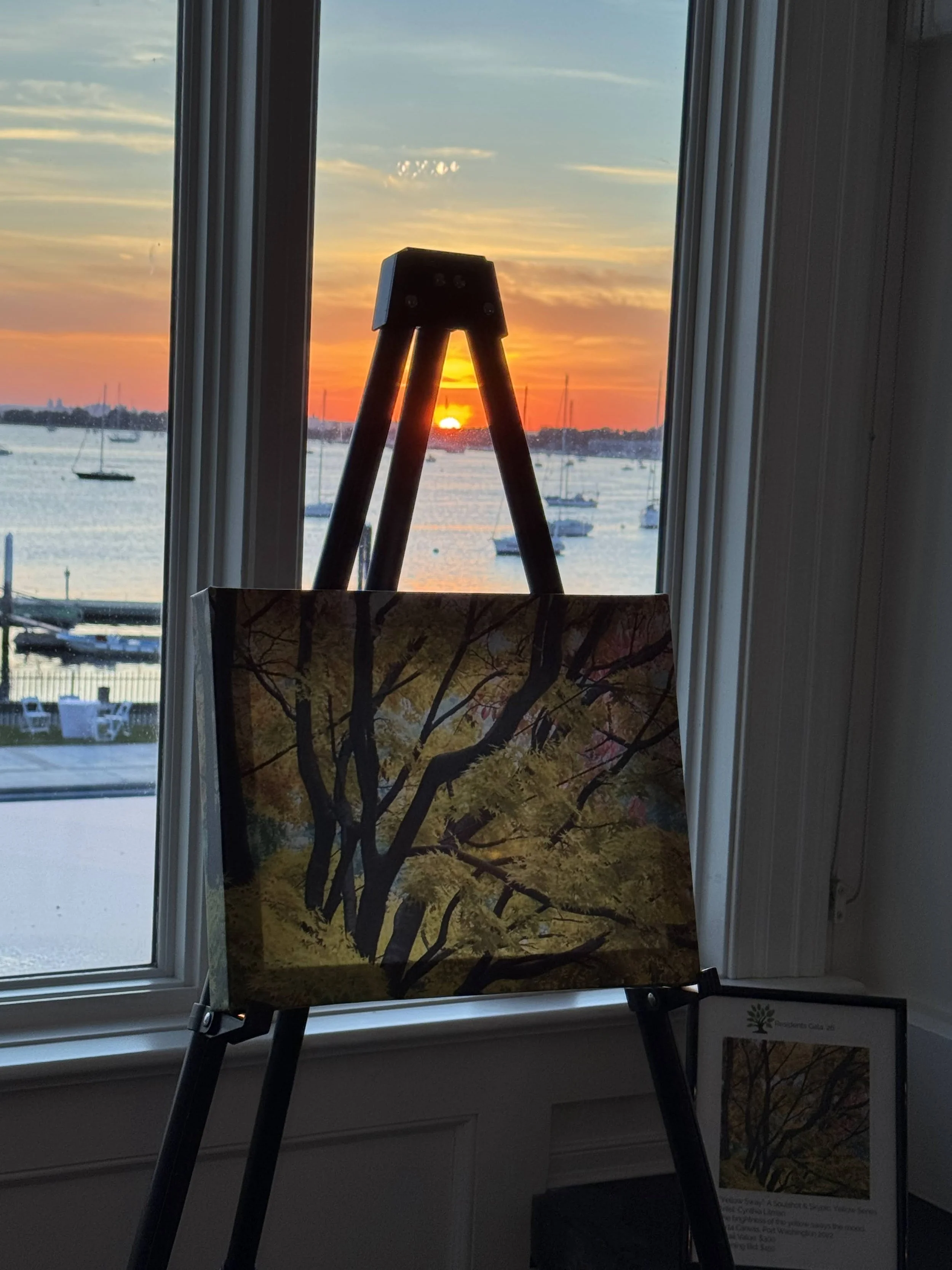 art sunset pic.jpg