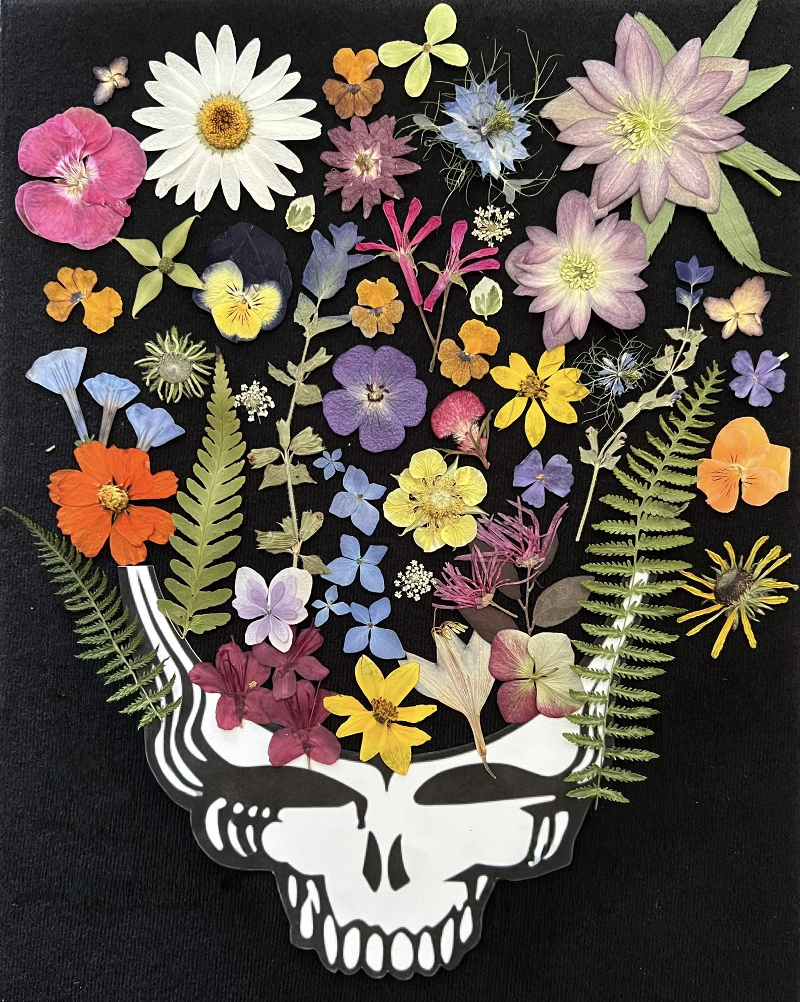 Kate Walz