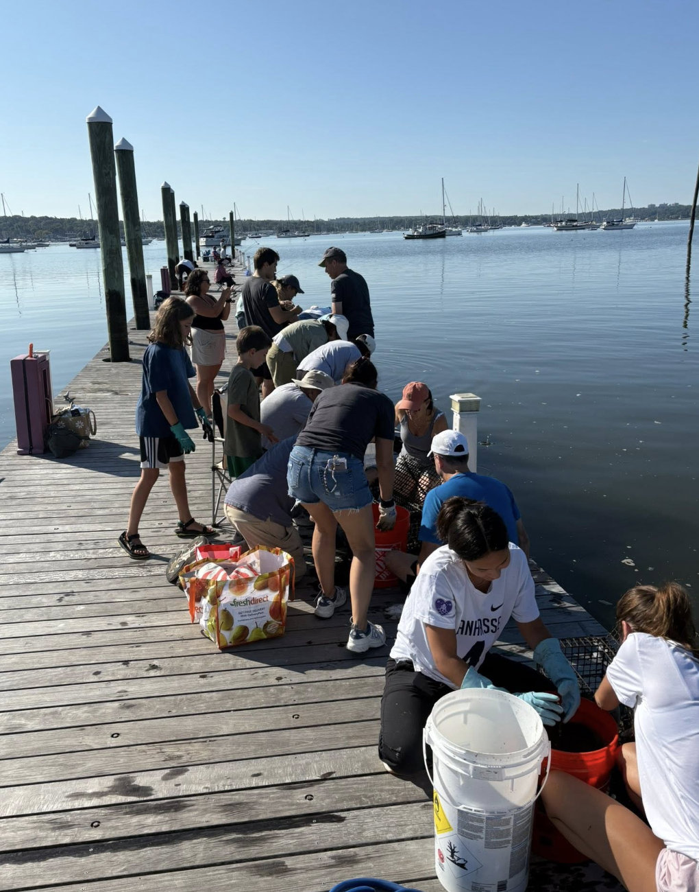 People on a wooden dock by the water collecting and examining aquatic samples during a community science event, with boats anchored in the background.