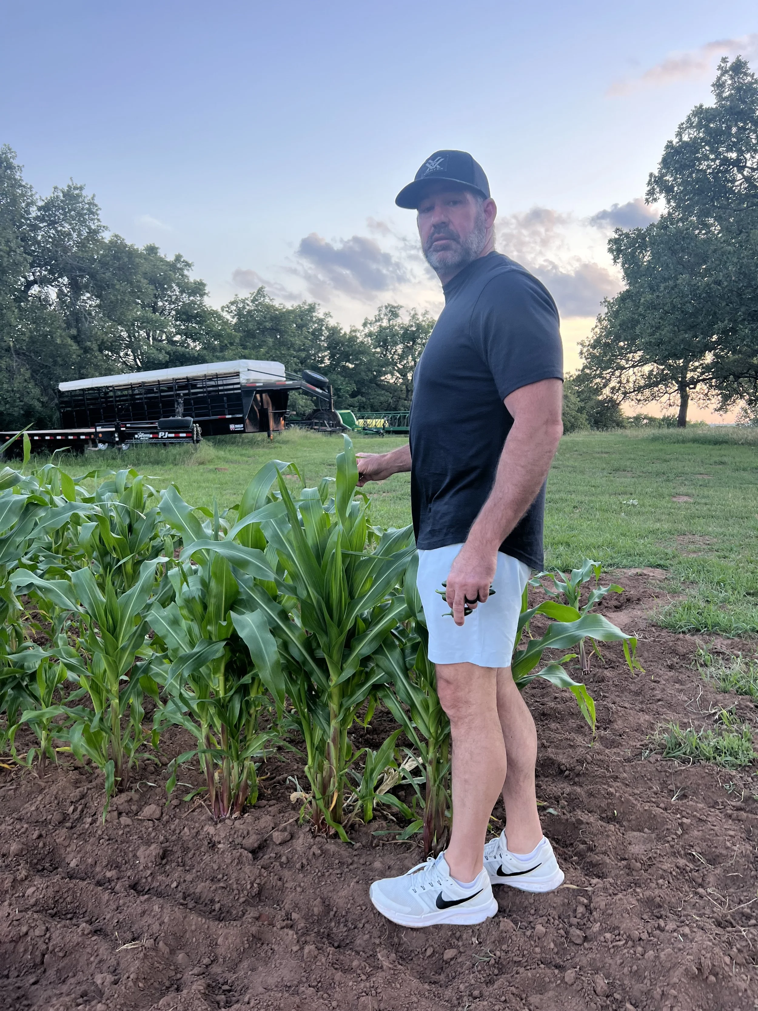 Man in black shirt and white shorts standing next to corn plants in a field, with trees and a trailer in the background.