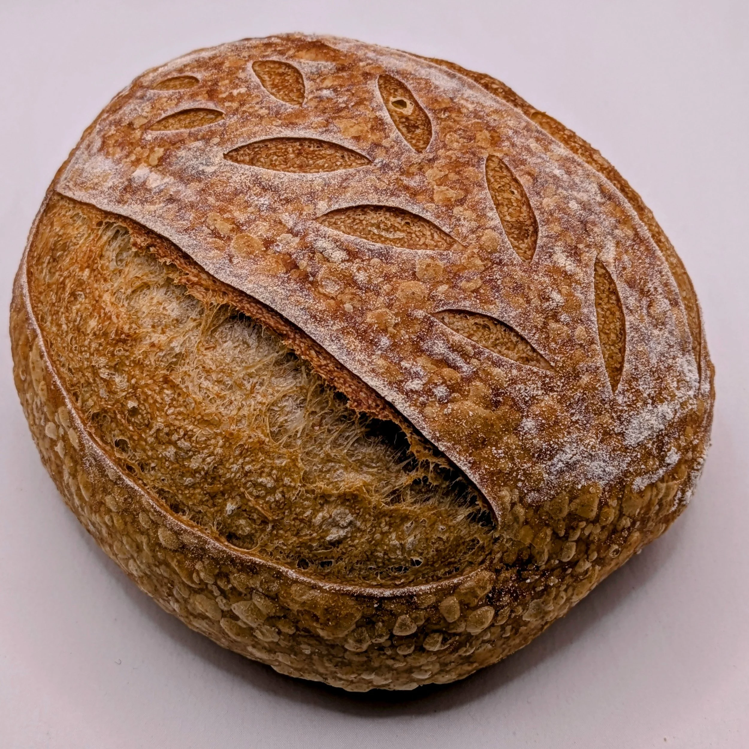 ANCIENT GRAIN SPELT SOURDOUGH LOAF