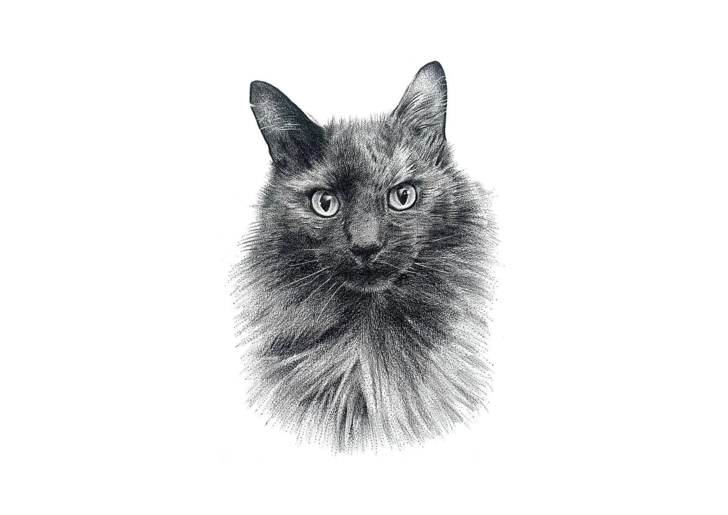 Untitled_Artwork 168.jpg