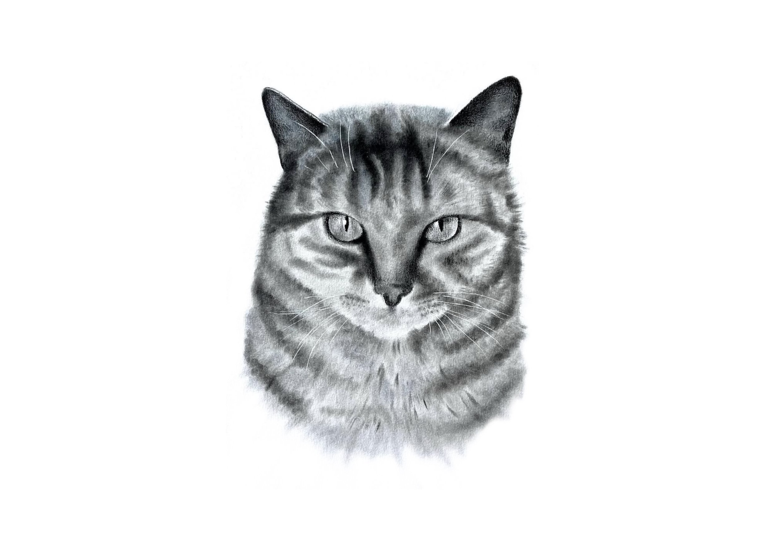 Untitled_Artwork 171.jpg