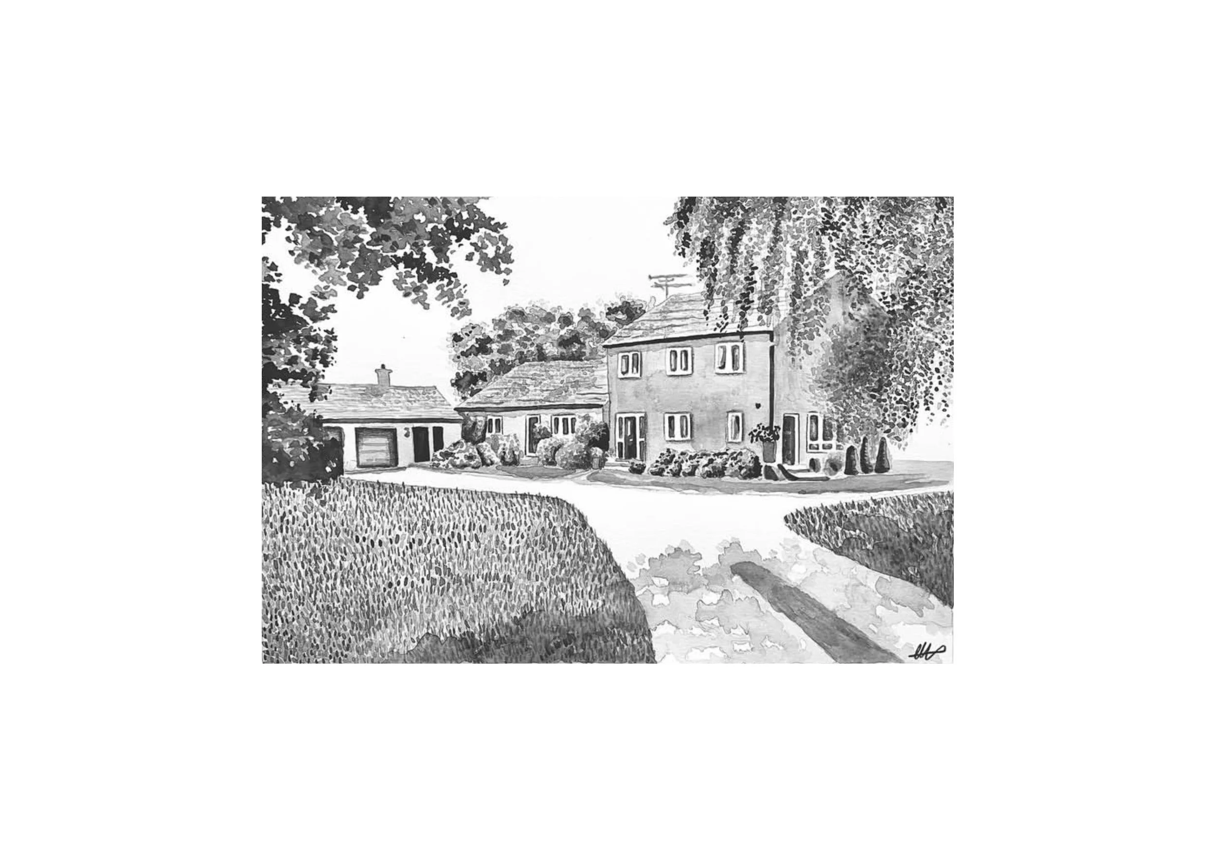 Untitled_Artwork 154.jpg