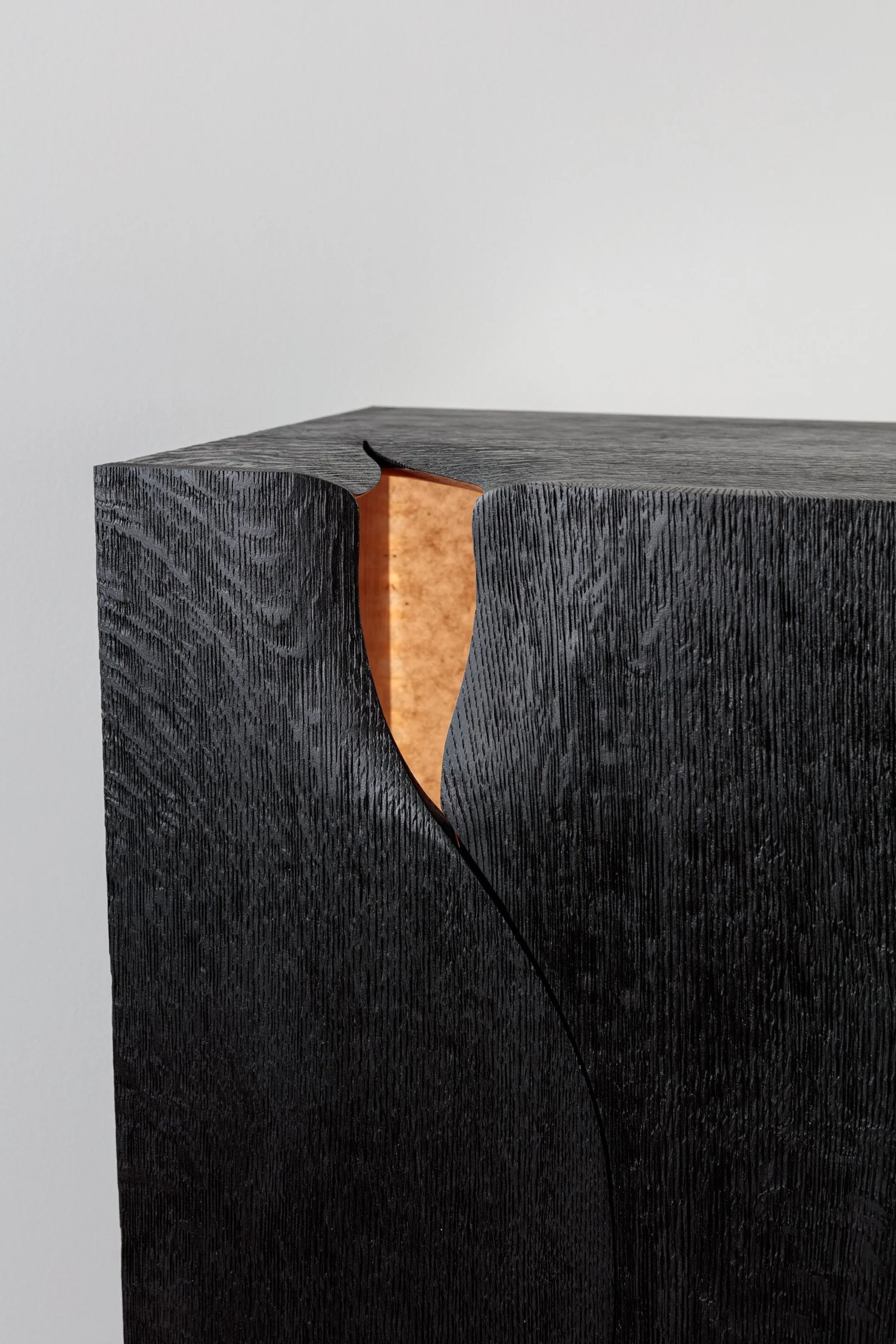 Robinson House_Jan22-5272.JPG