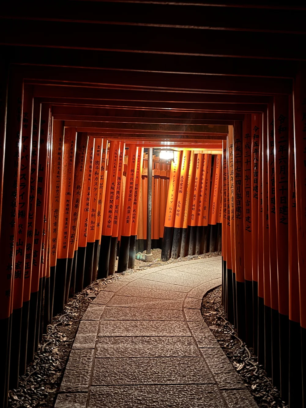 Fushimi Inari Night 2.JPG