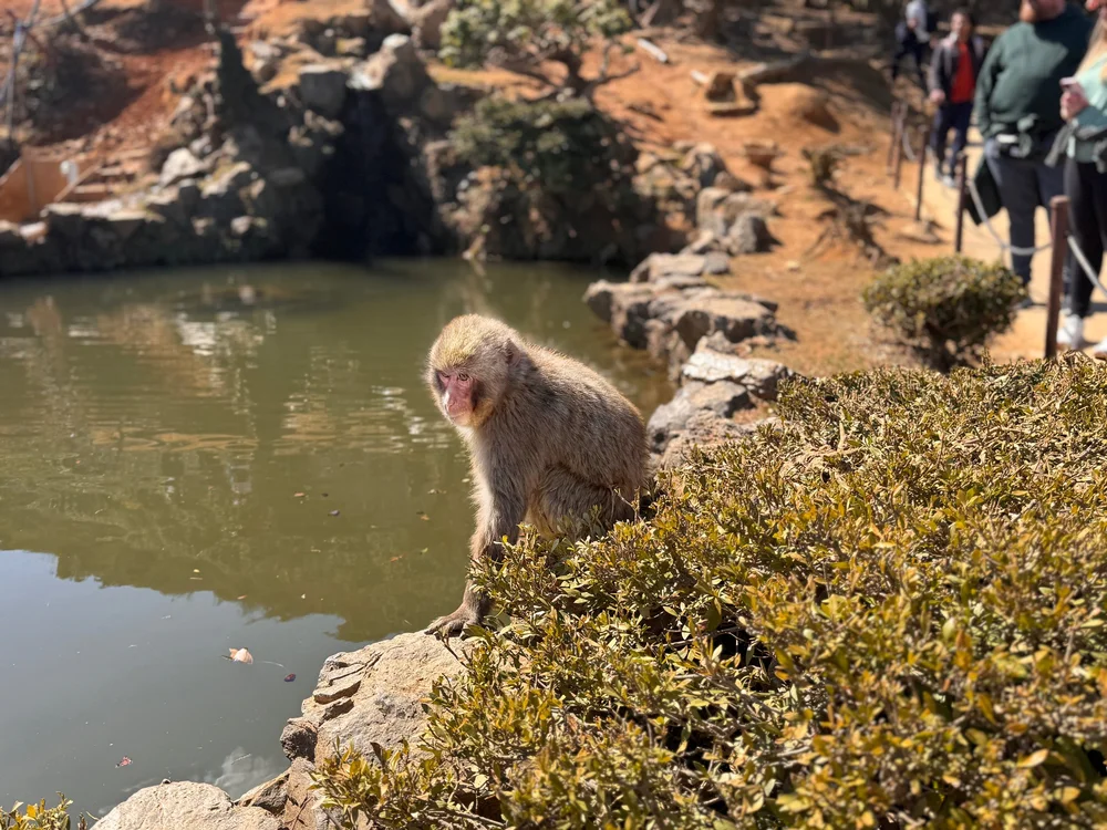 JPEG image-DF57CCA48A70-1.jpeg