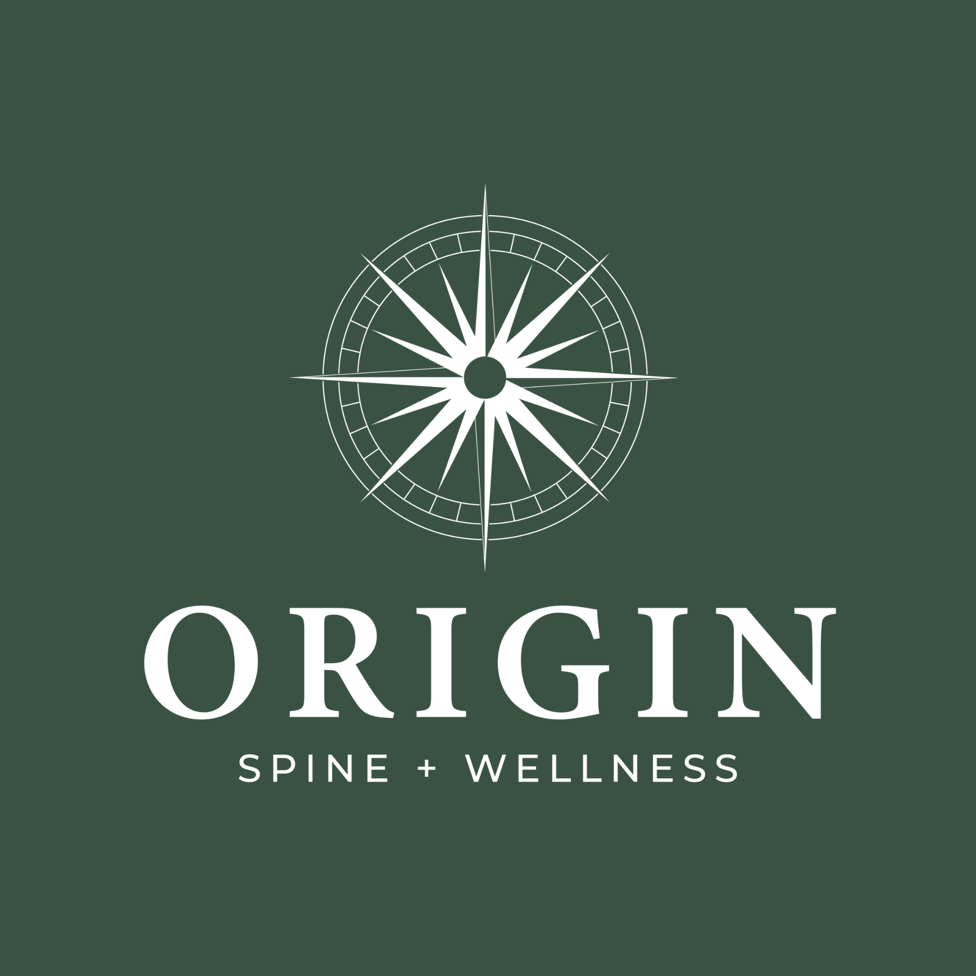 Core Identity Origin Spine and Wellness Chiropractic Logo.png