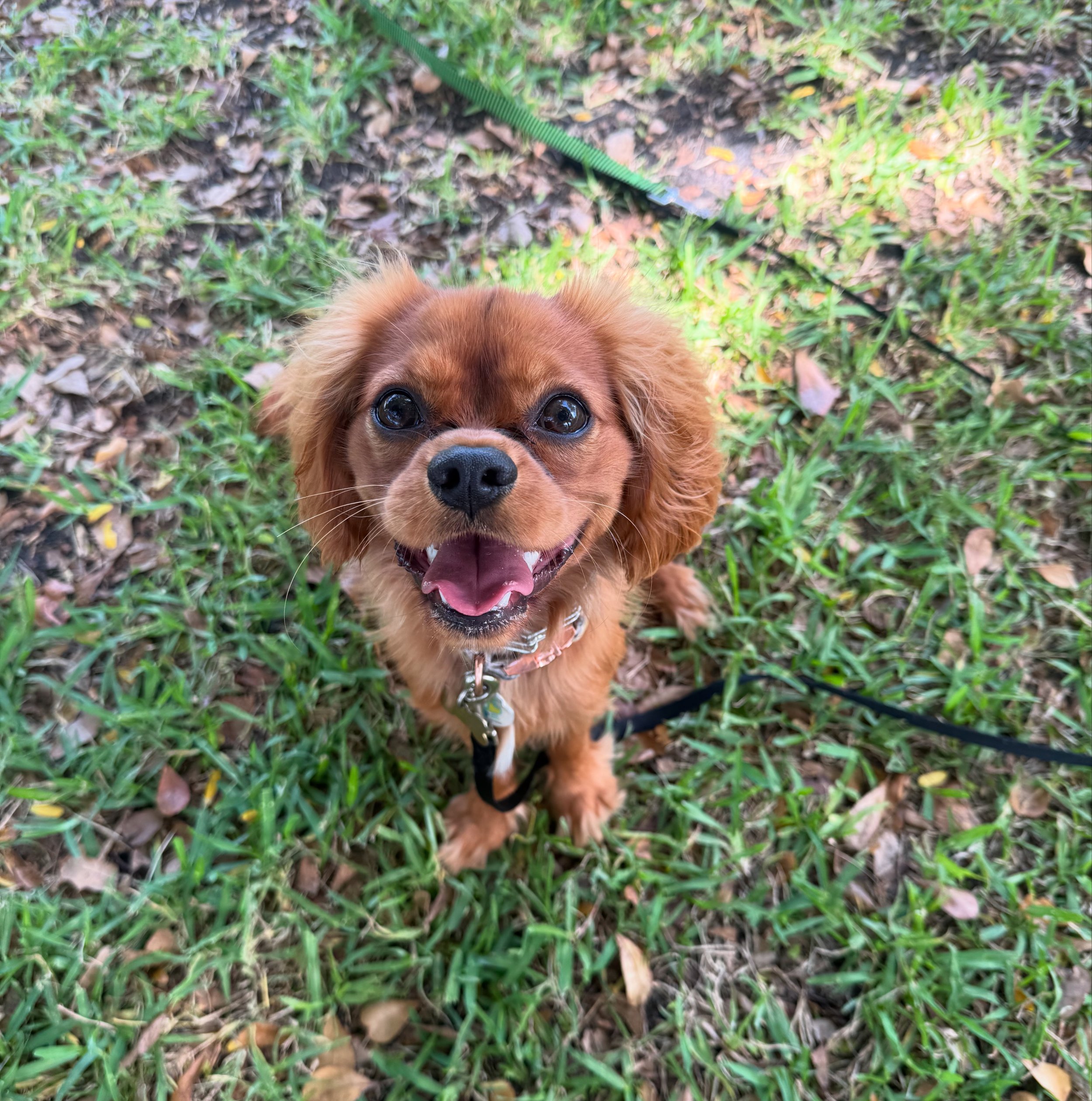 8 Pack Private Session