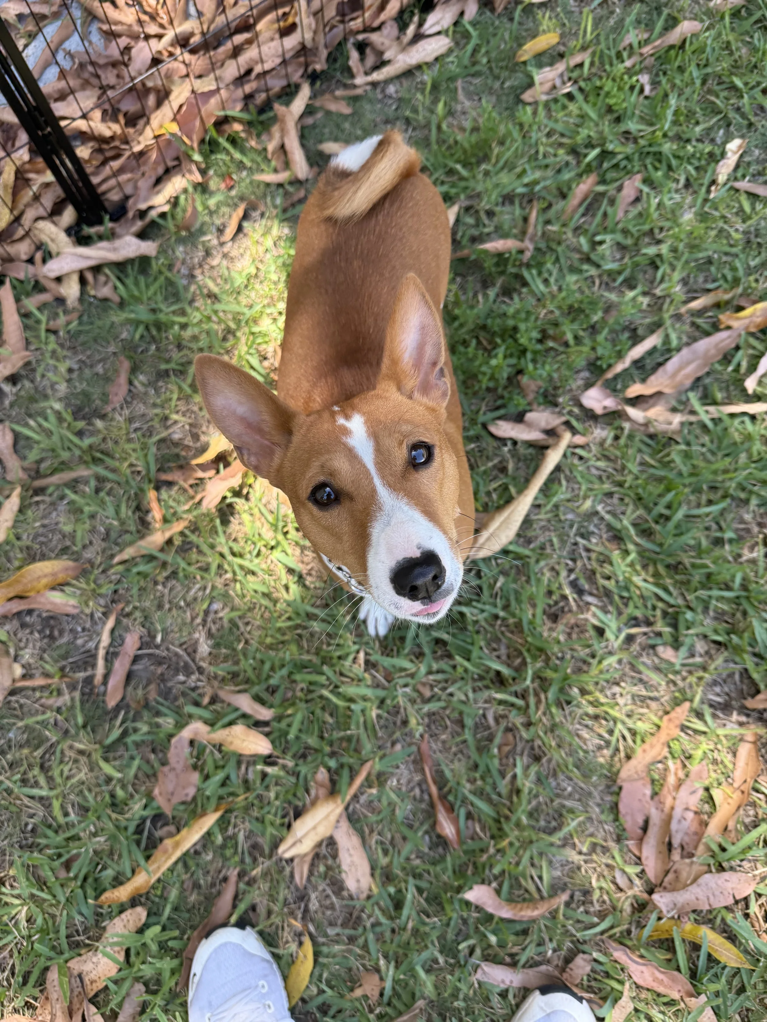 3 Pack Private Session