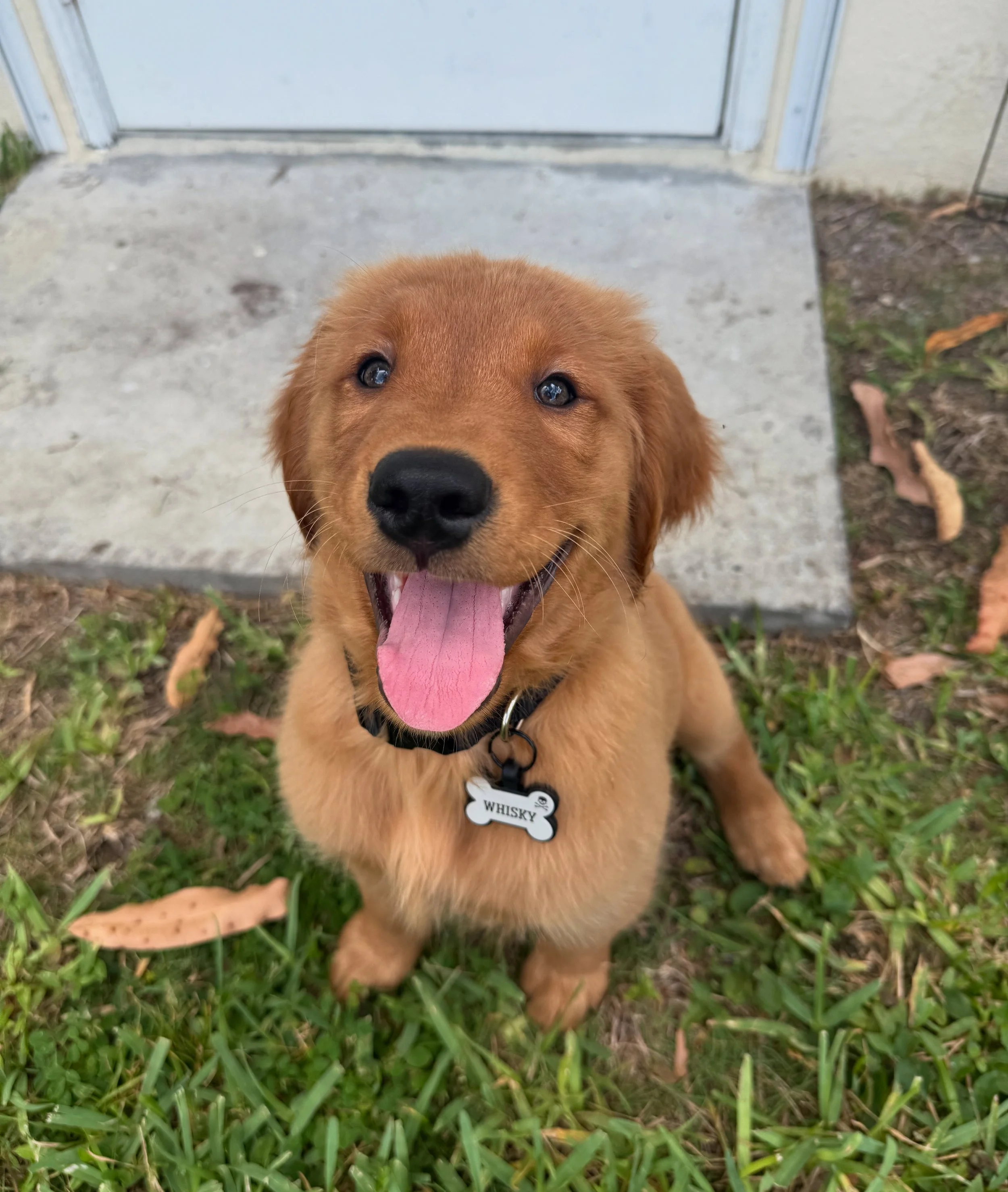 Single Private Session