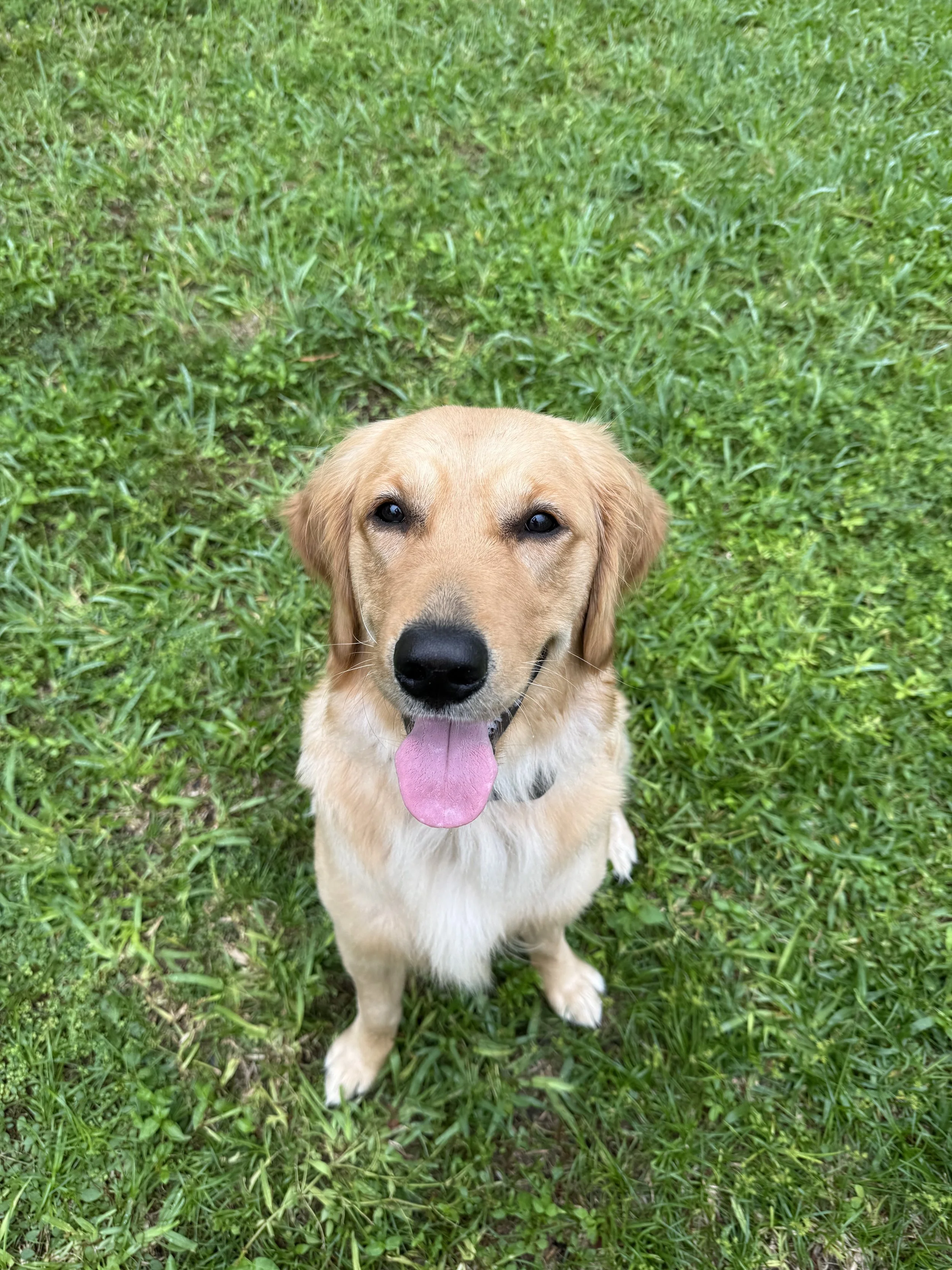 10 pack Private Session