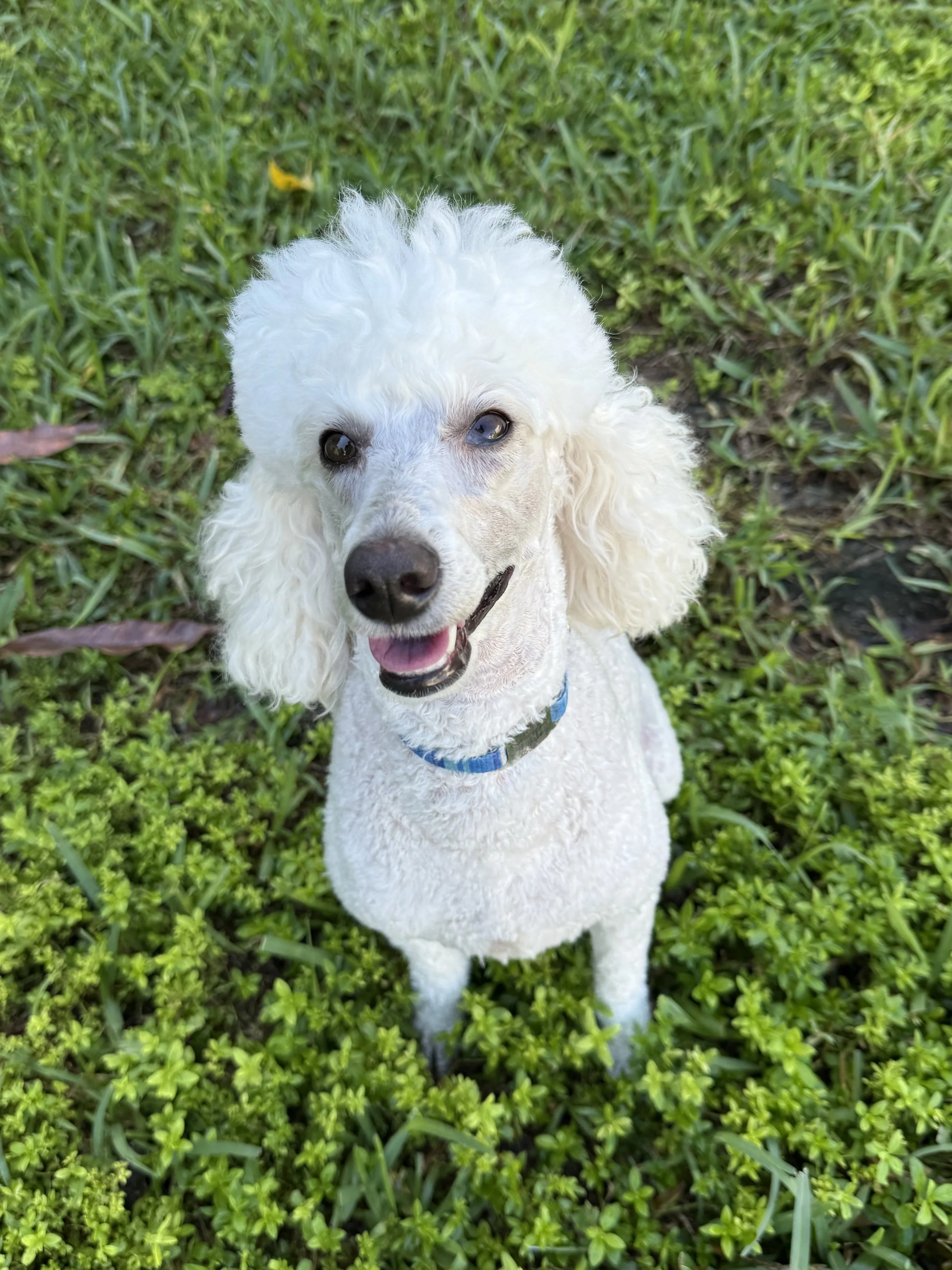 6 Pack Private Session