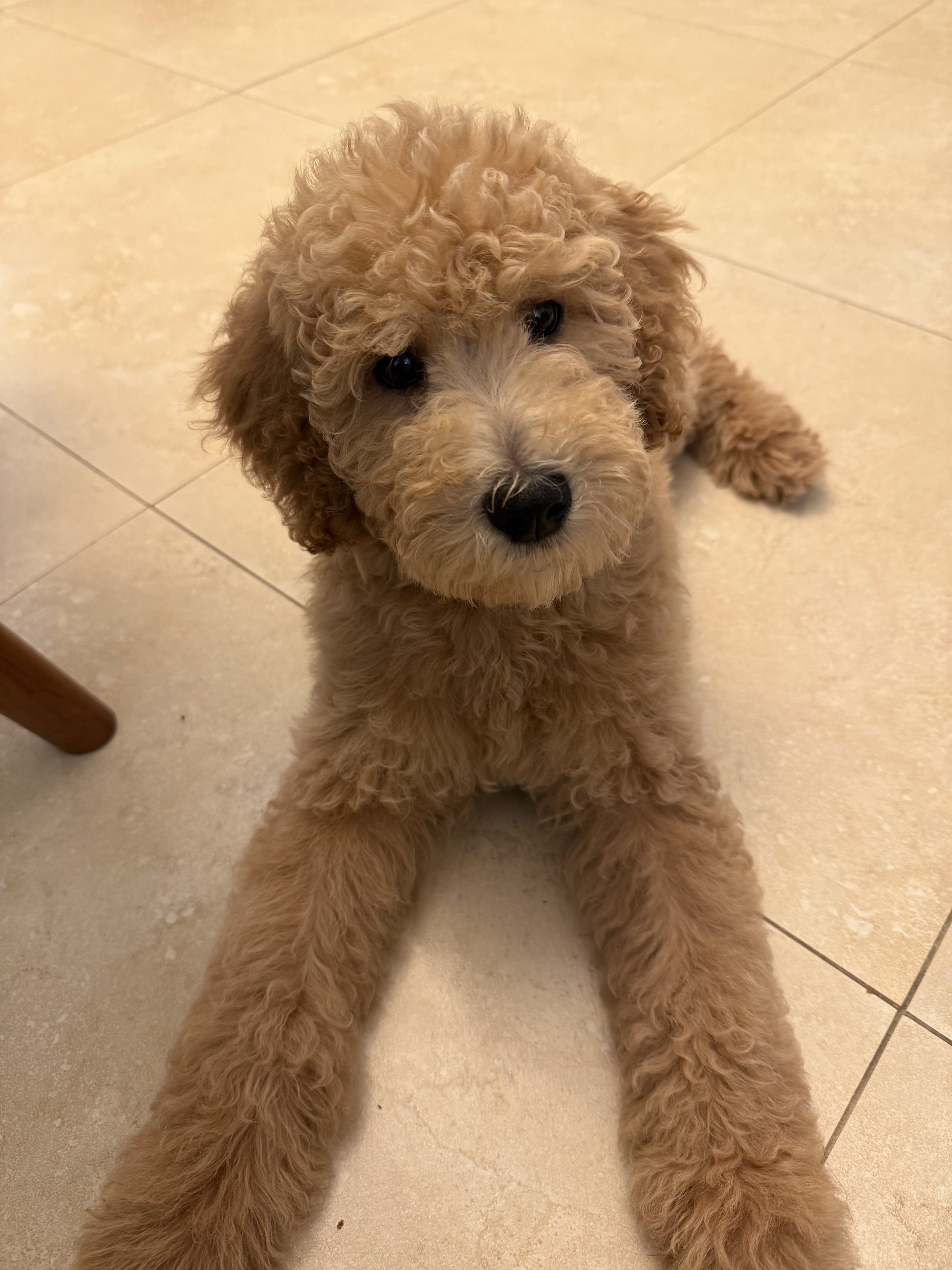 60 Minute Virtual lesson