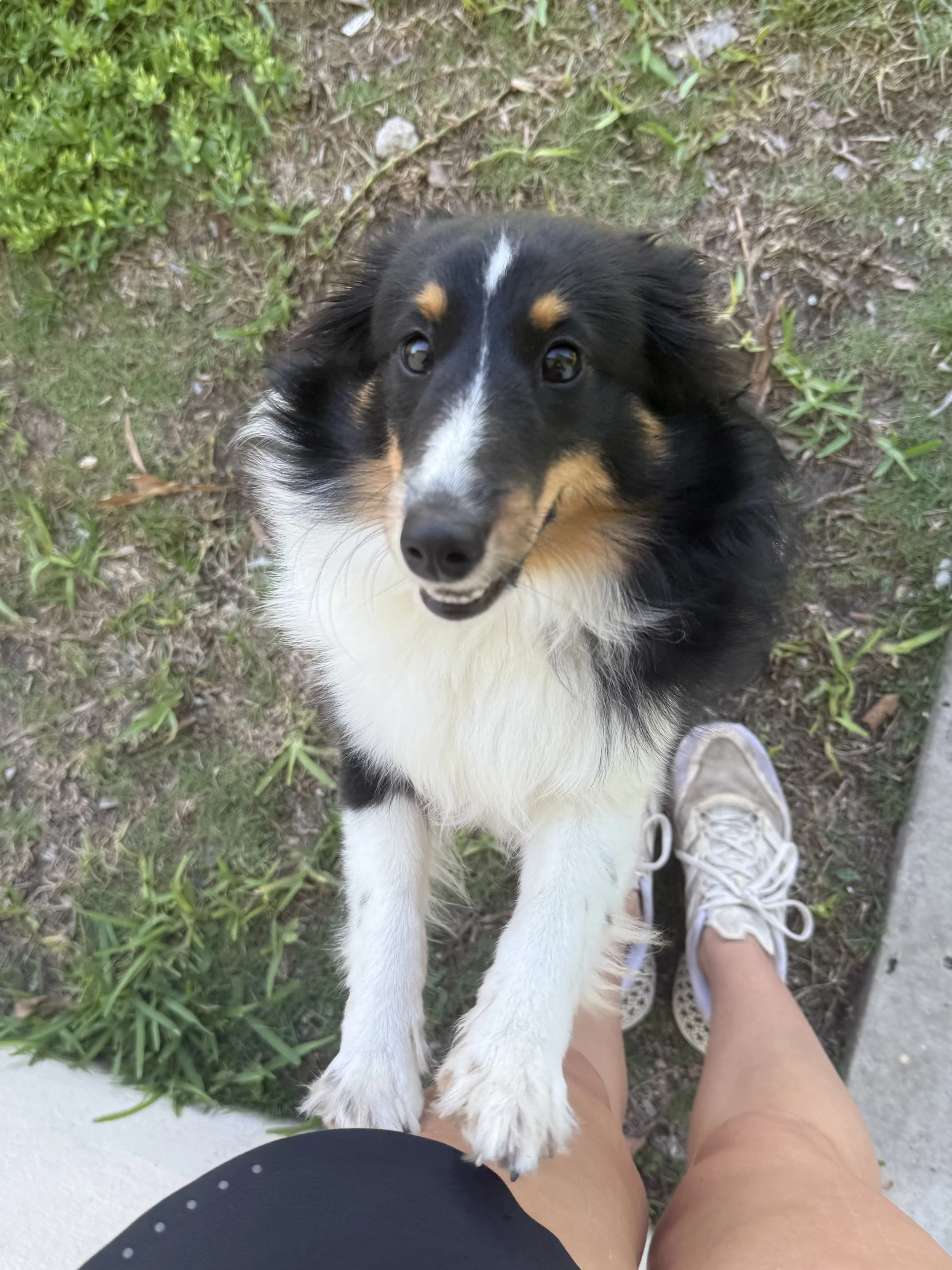 3 pack virtual lessons (60 minutes)