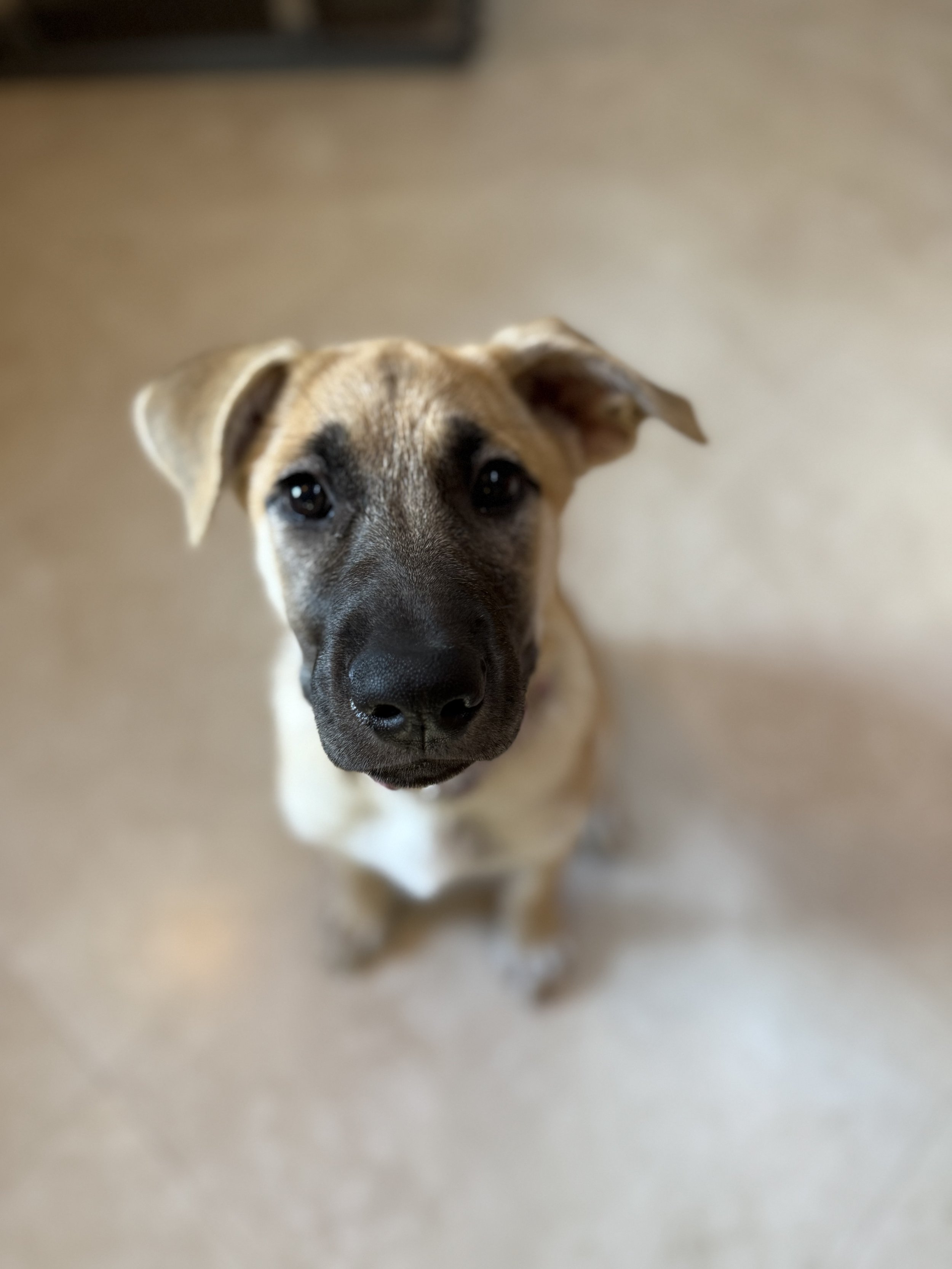 30 Minute Virtual lesson