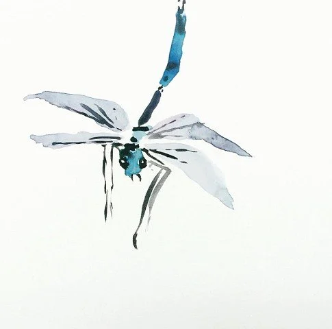 Dragonfly, 2023, watercolor