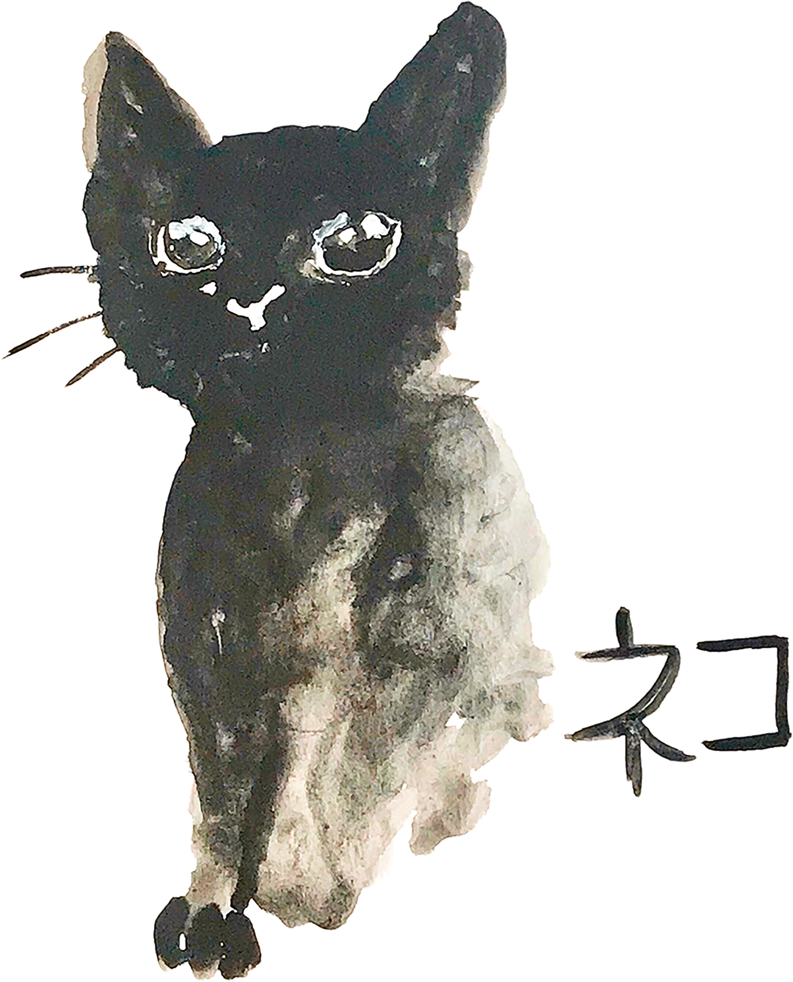 Neko Chan, 2024, Watercolor