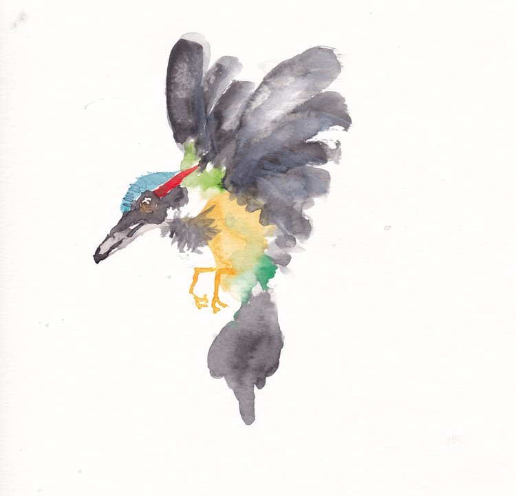Kingfisher,  2024,Watercolor,