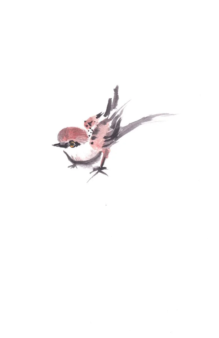 Sparrow, 2021, Watercolor