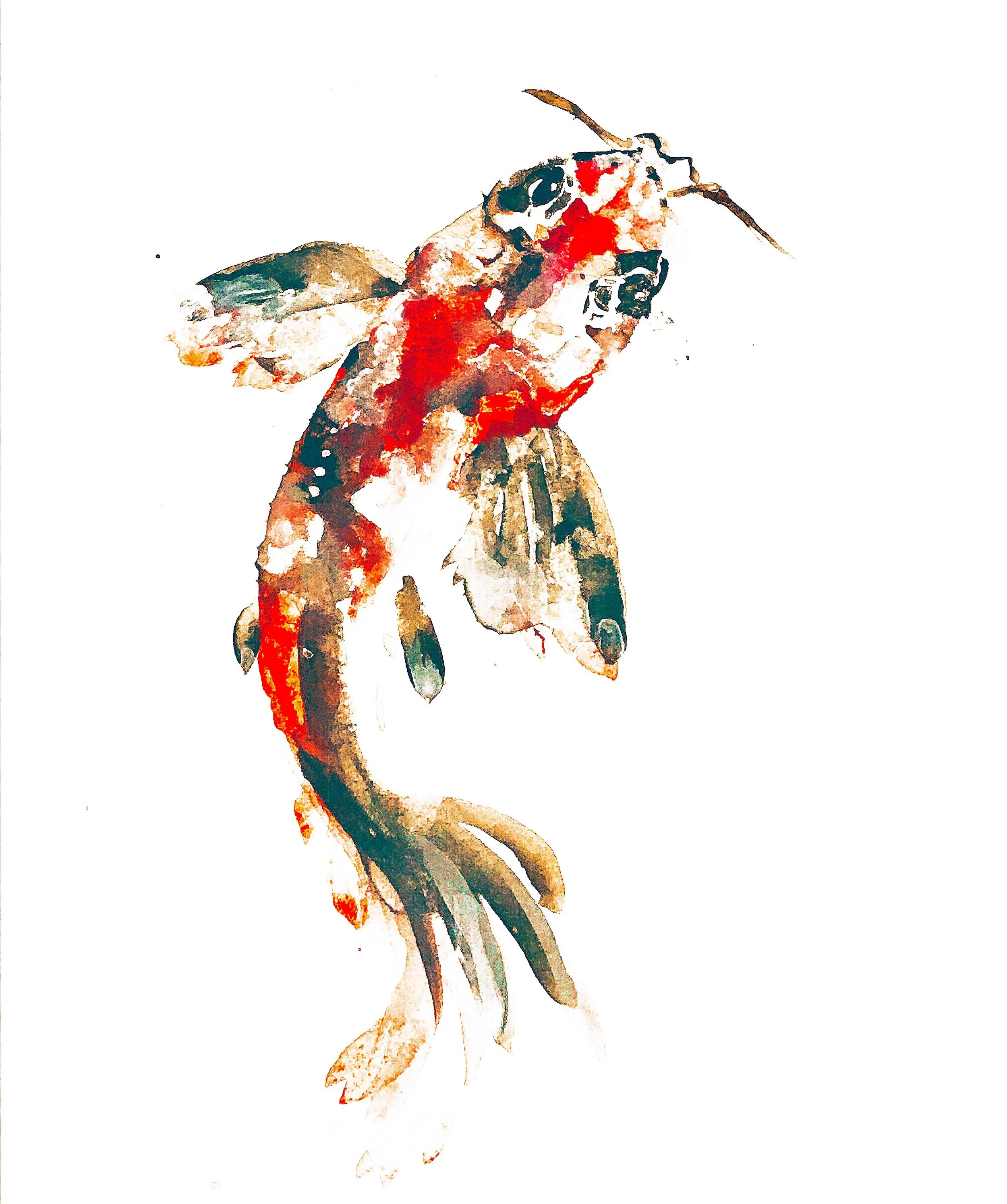 Koi Fish Study, 2022, Watercolor