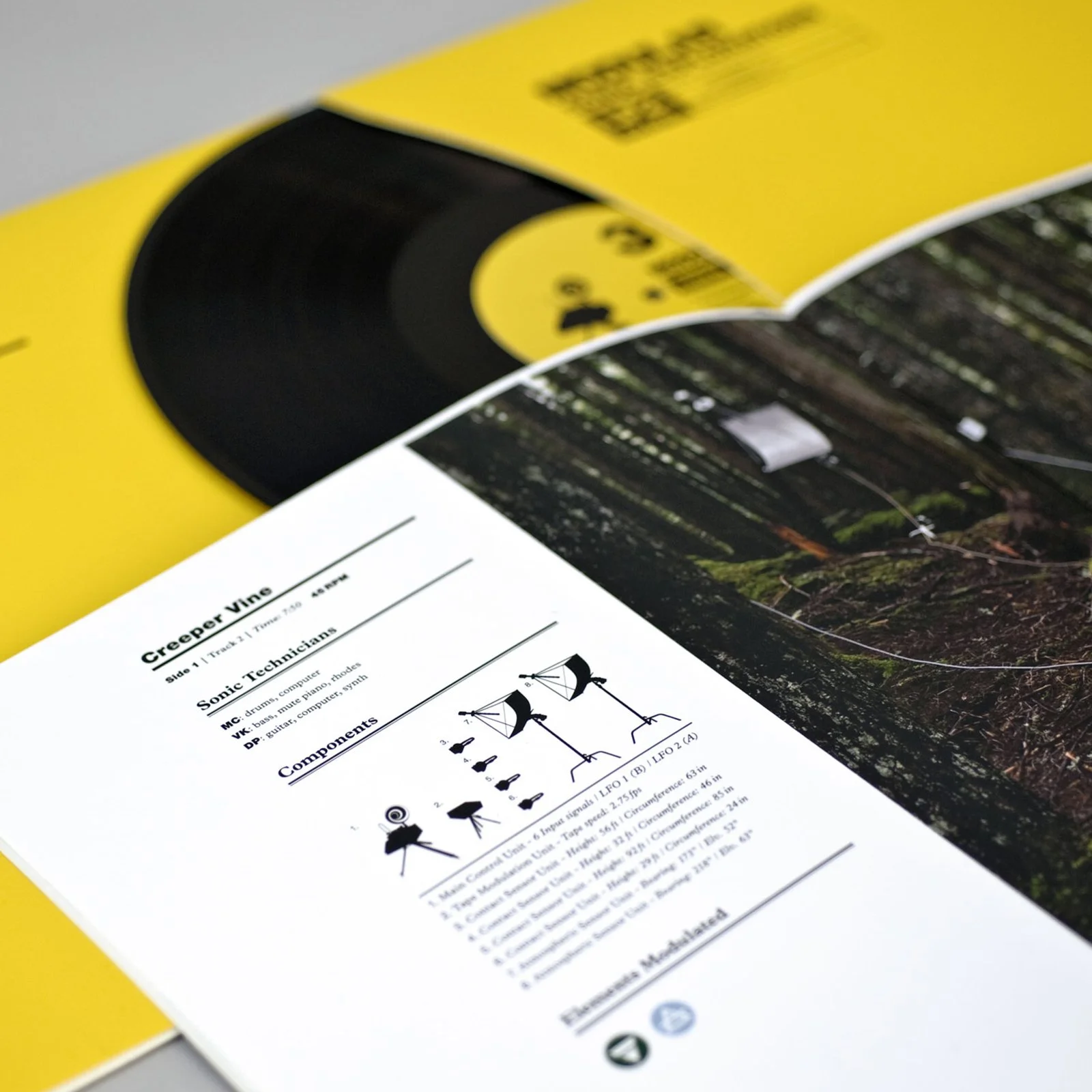 vinyl-record-sleeve-packaging-design-album-artwork-layout.jpg