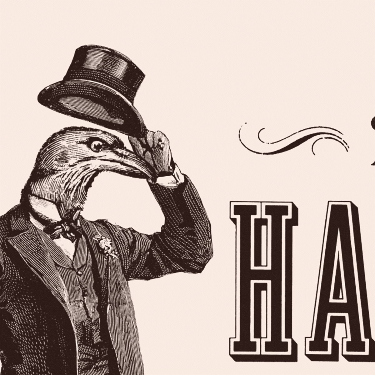 hazlewood-bar-brand-illustration-crow-vintage-design.gif