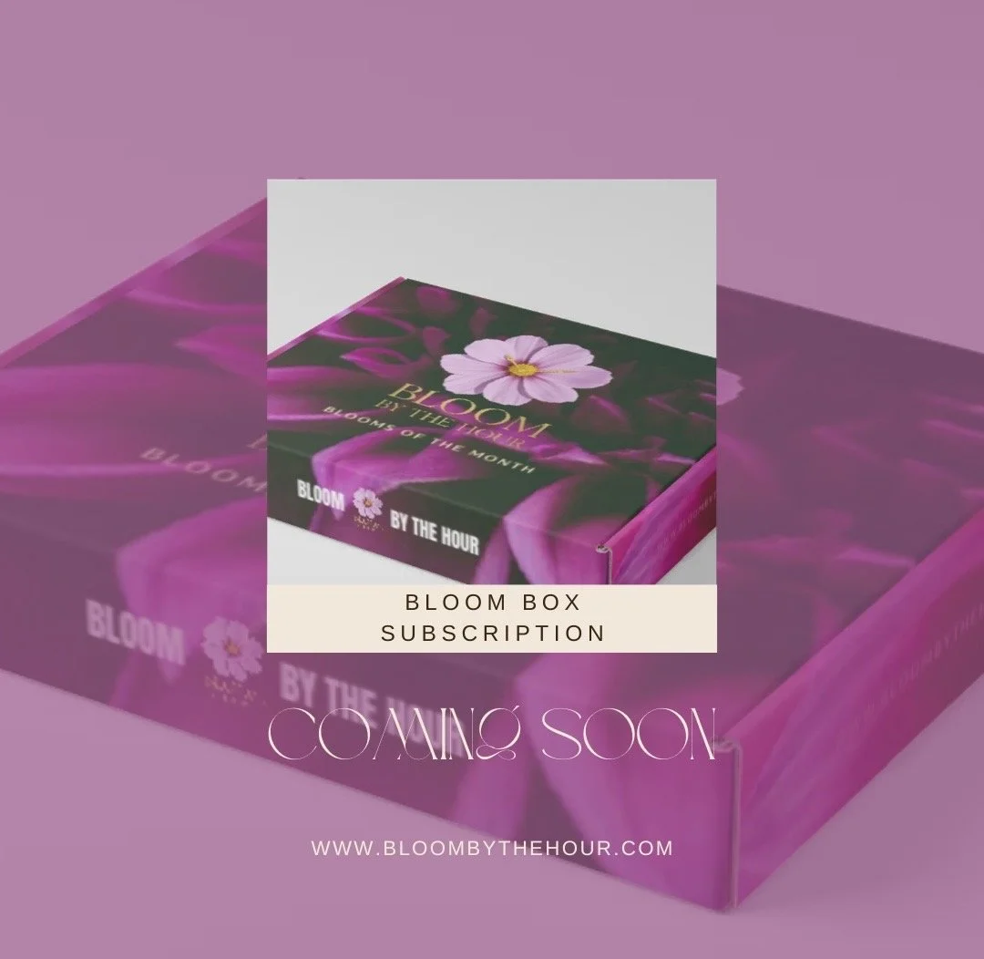 Bloom Box Subscription