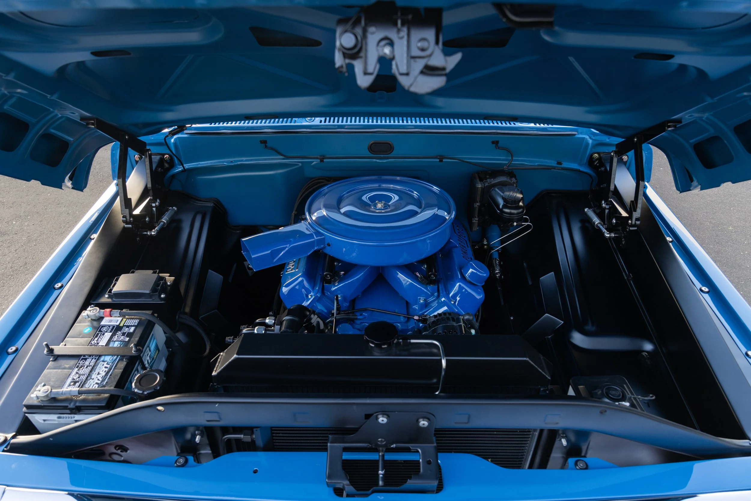381A8900.jpg