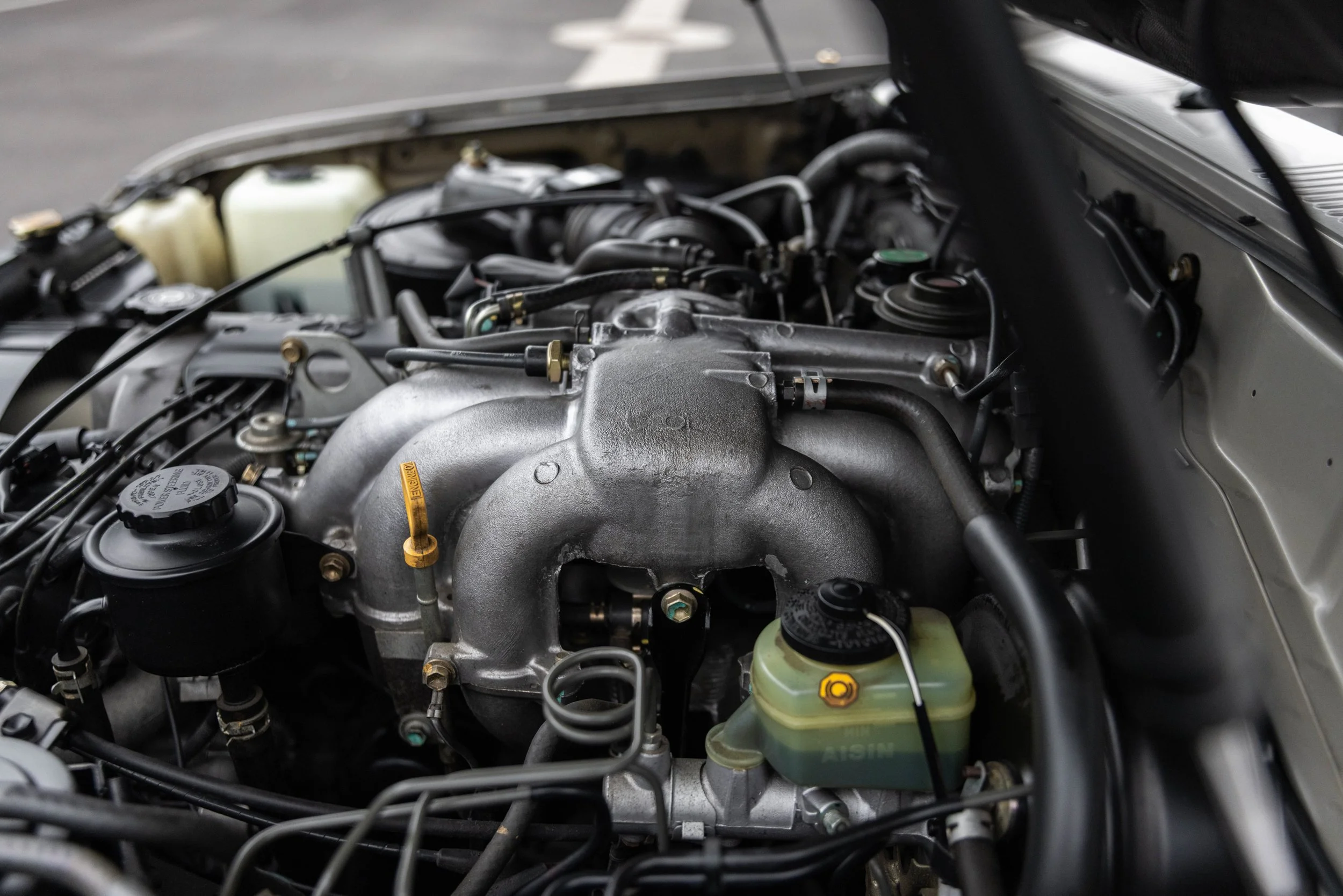 381A0615-2.jpg