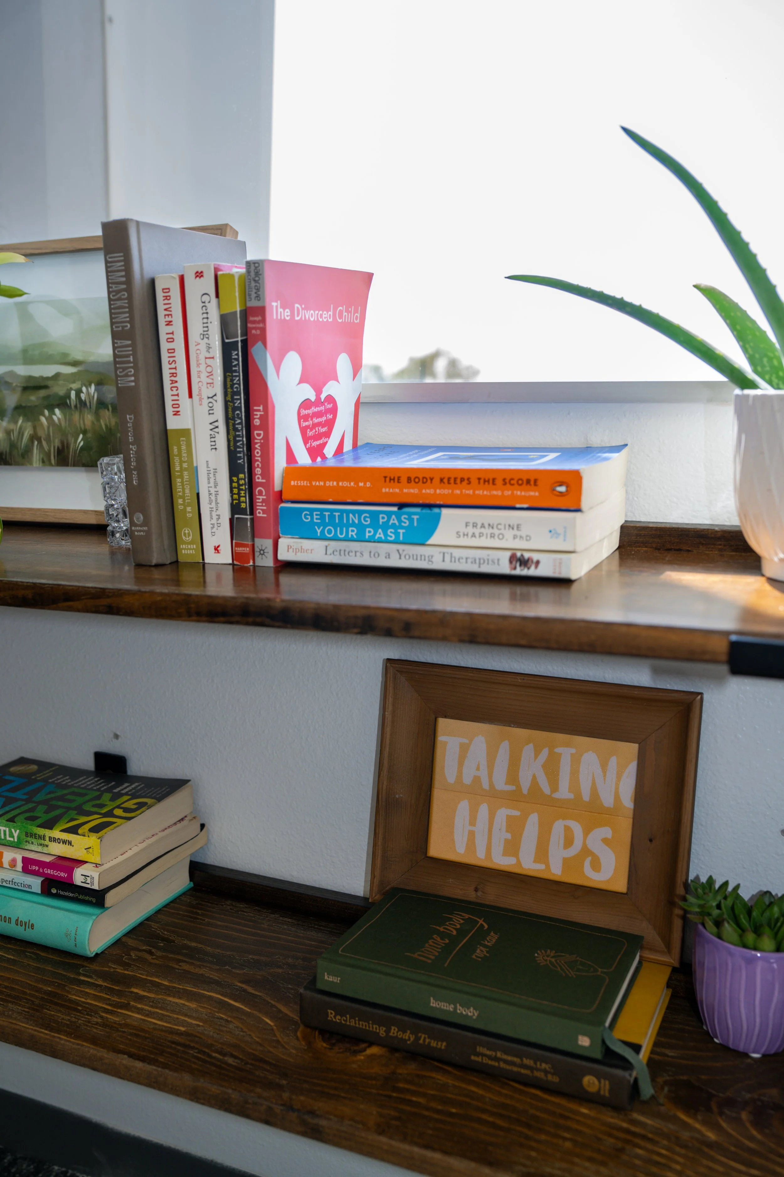 A display of books, a potted plant, and a framed sign on a wooden shelf near a window with sunlight.