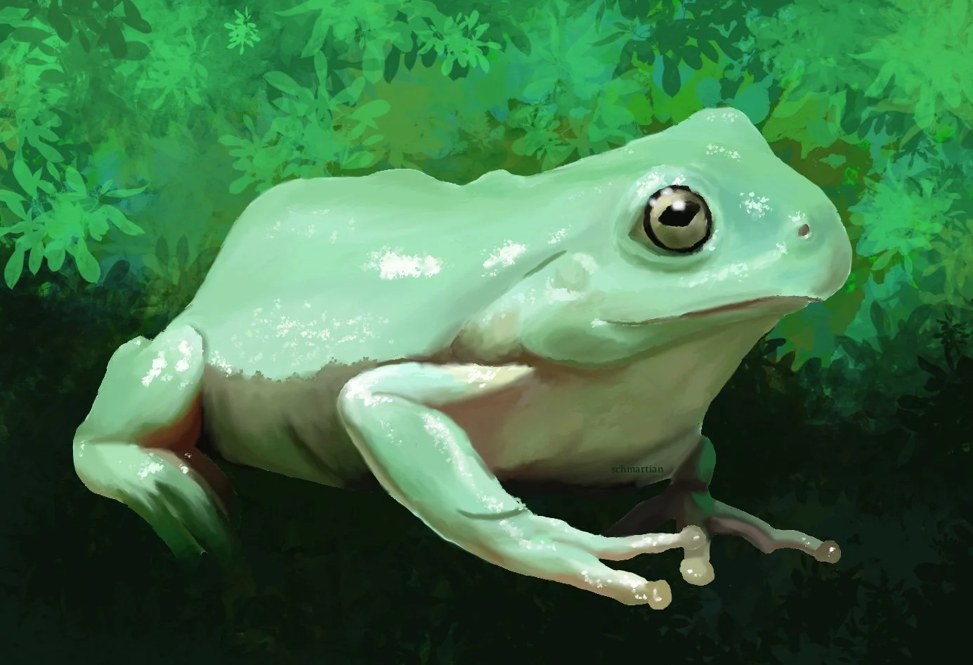 Froggy.jpg