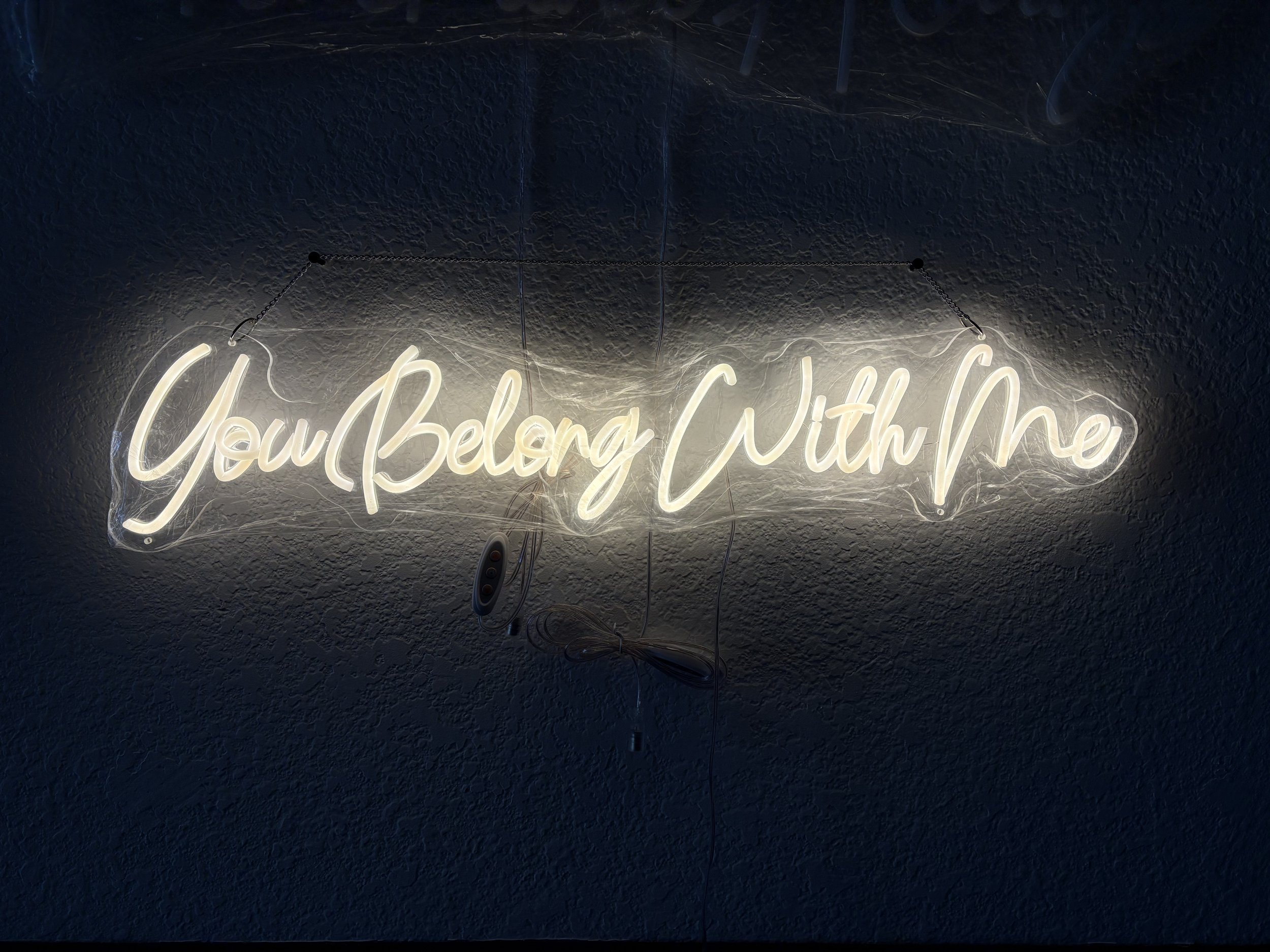 Neon Sign : You Belong With Me
