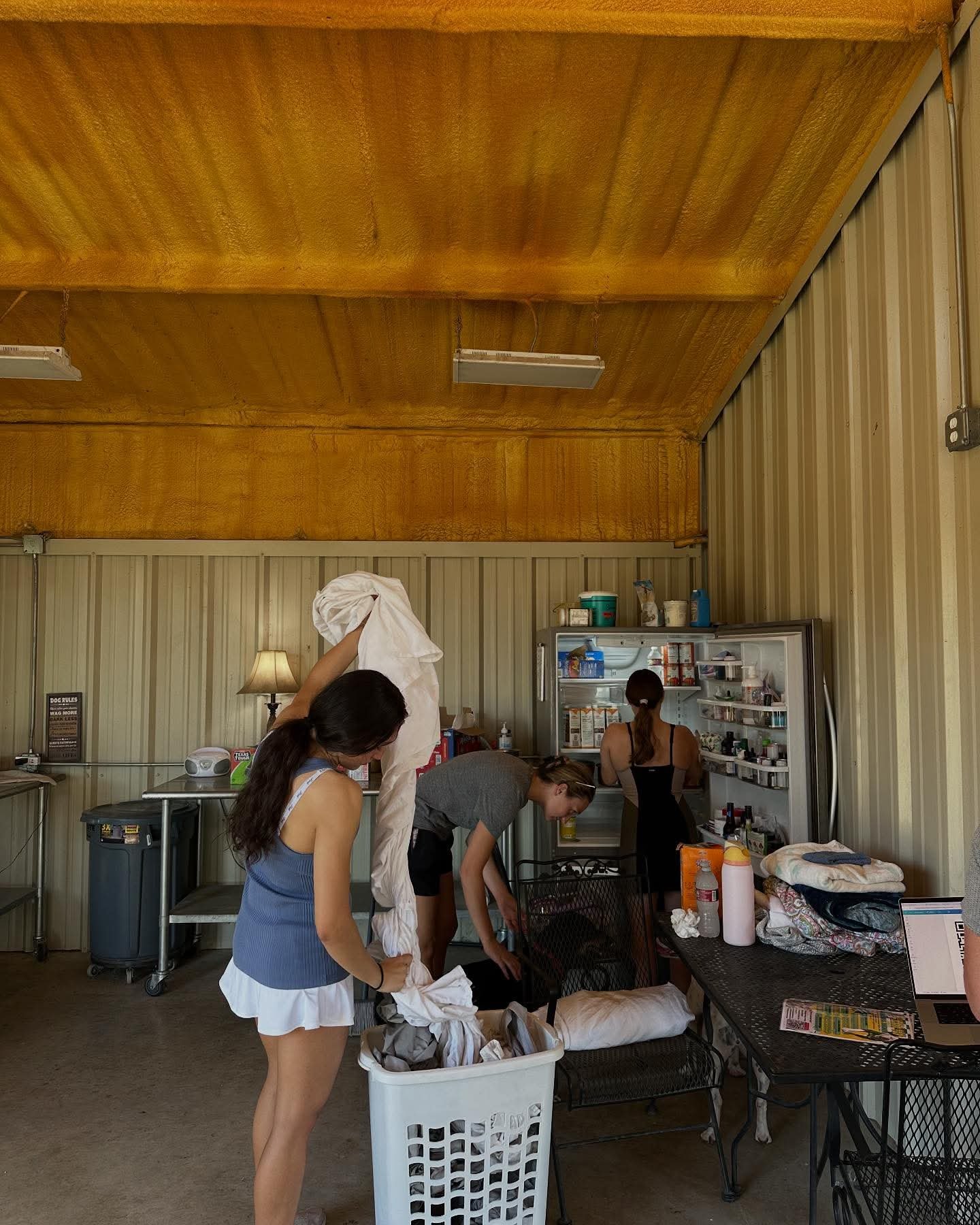 Volunteers cleaning and organizing bedding and food in a refrigerator at a dog rescue