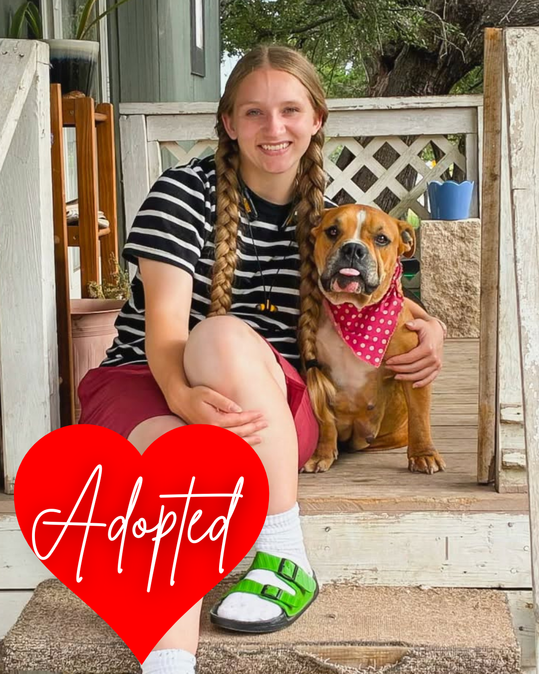Adopted (1).png