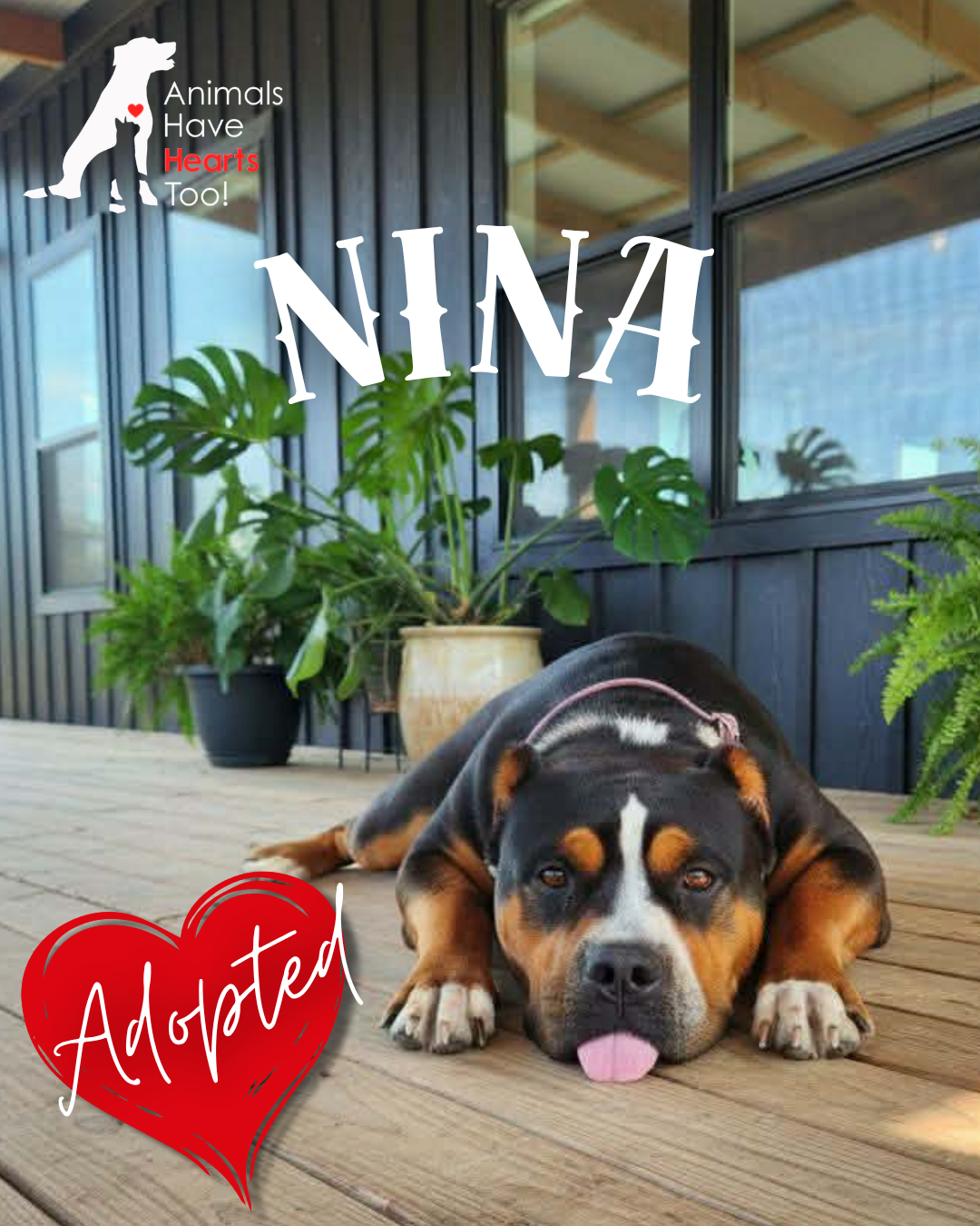 nina (3).png