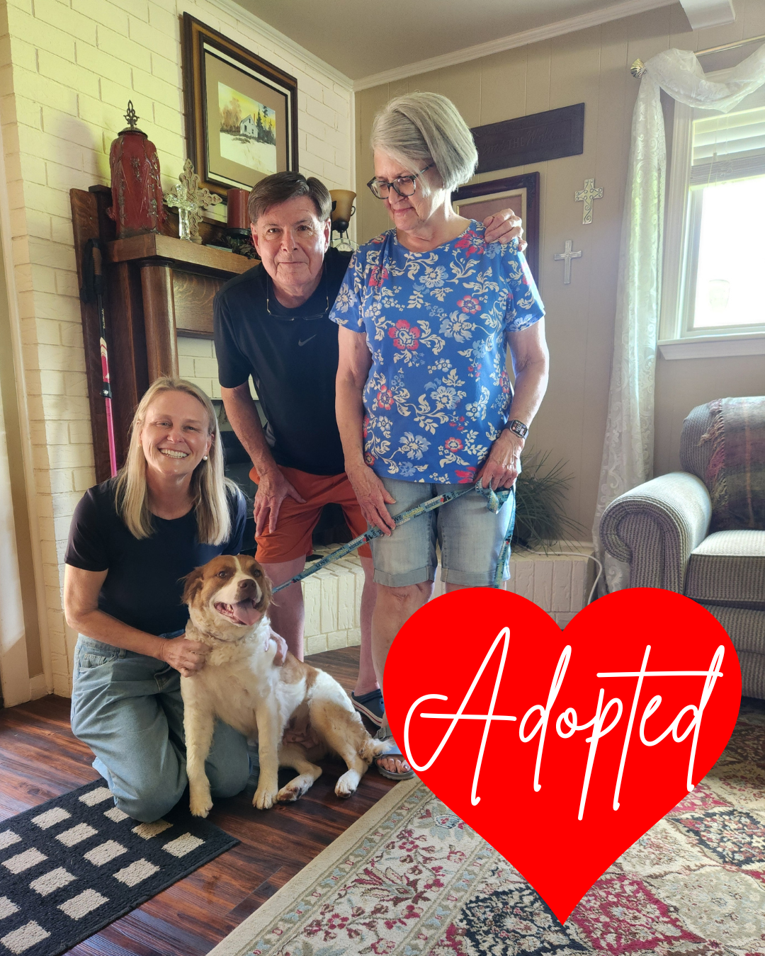 Adopted (2).png