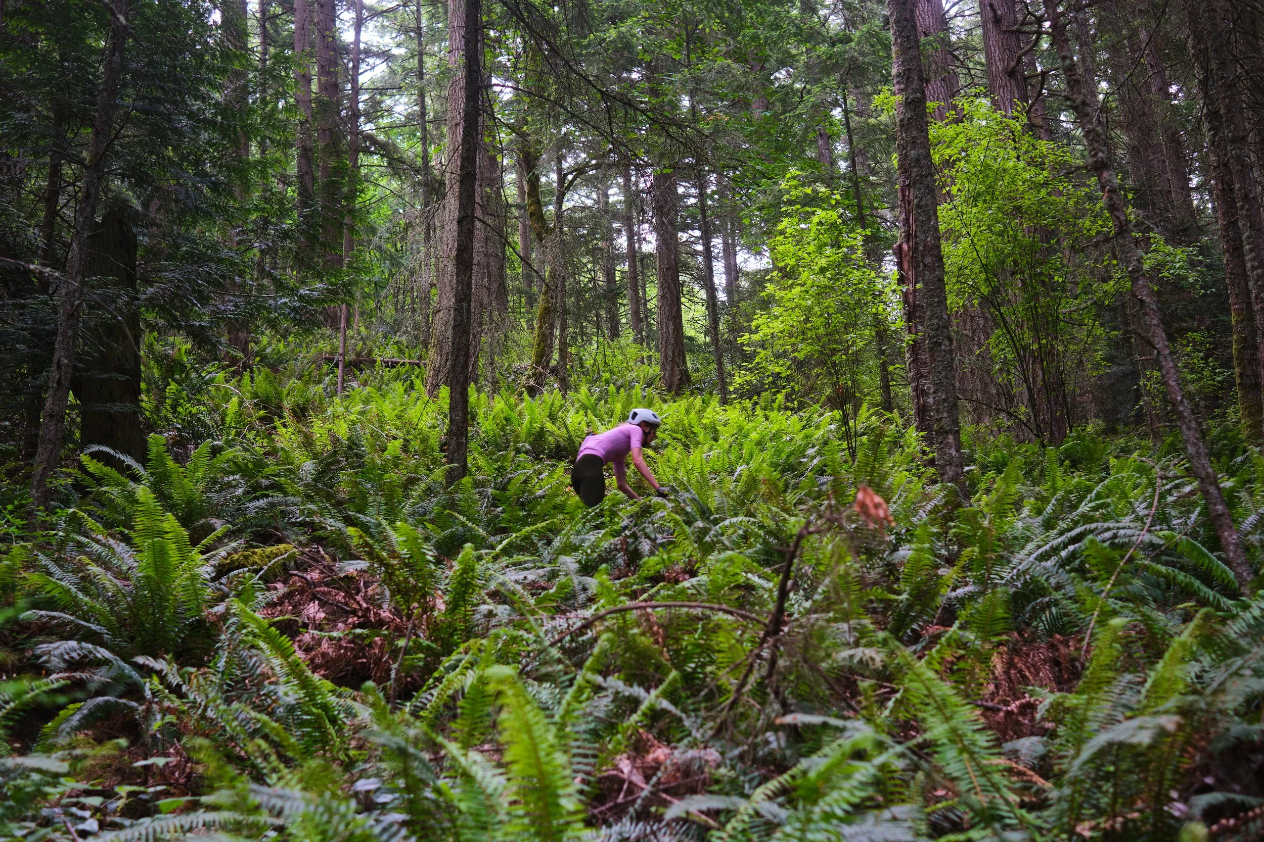 20260530_RaphaFAR_01bellingham_Alkhamees_ 39.jpg