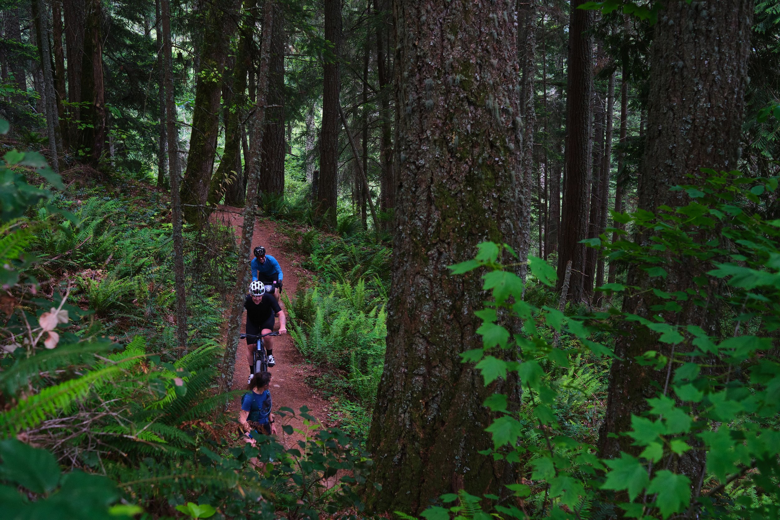 20260530_RaphaFAR_01bellingham_Alkhamees_ 47.jpg