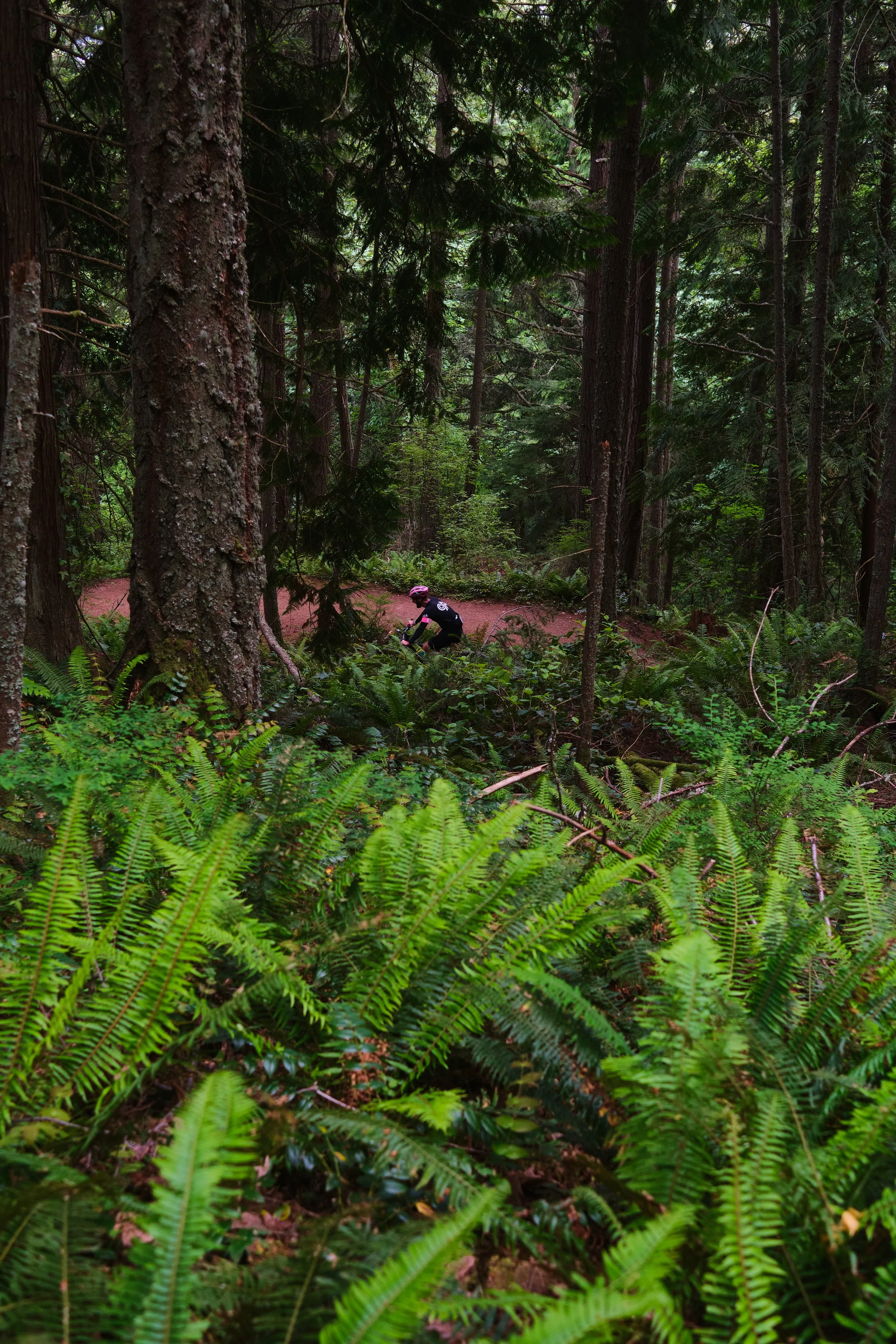 20260530_RaphaFAR_01bellingham_Alkhamees_ 34.jpg
