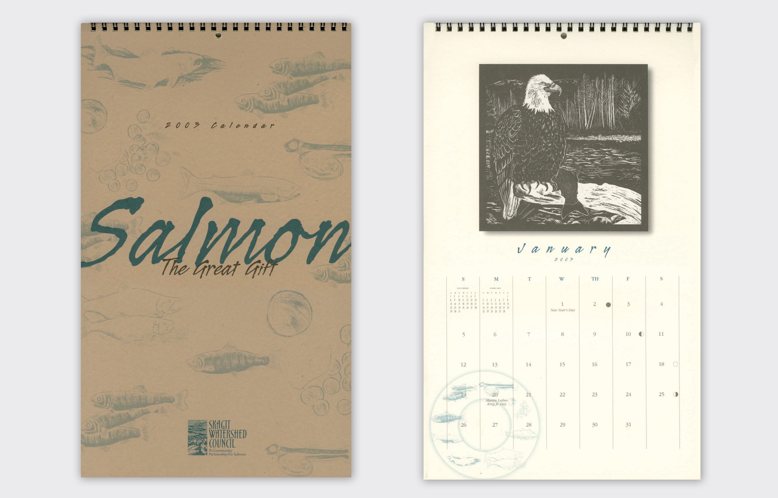 Salmon Calendar cover and application