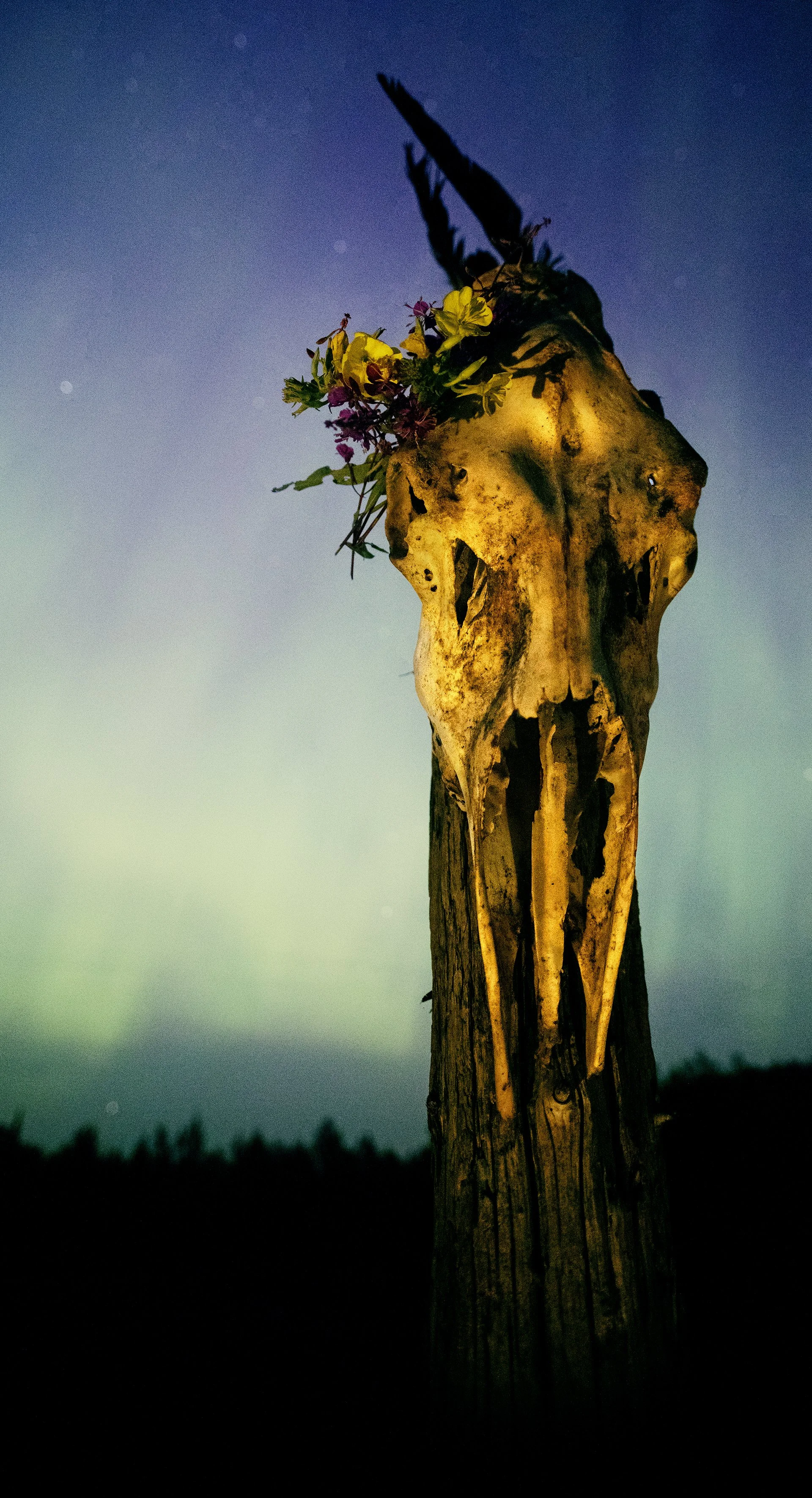 “Bone and Blossom%22 Elegy of the Wild.jpg