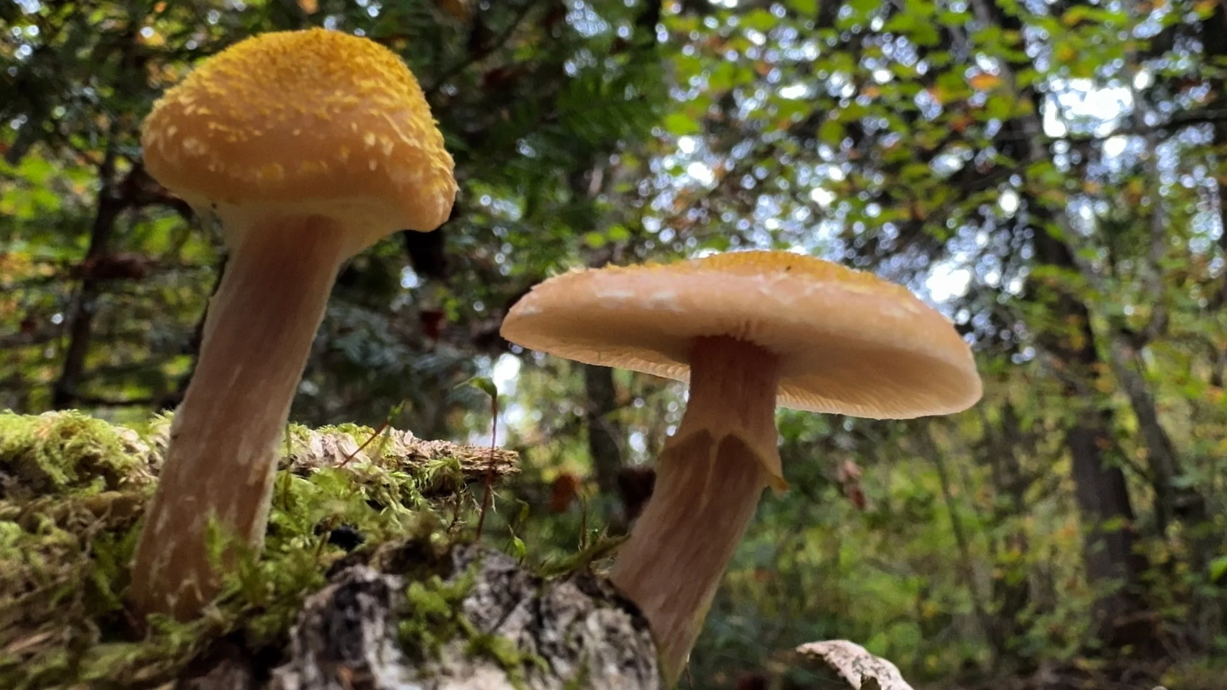 Sequence 01.00_05_04_06.Still008.jpg