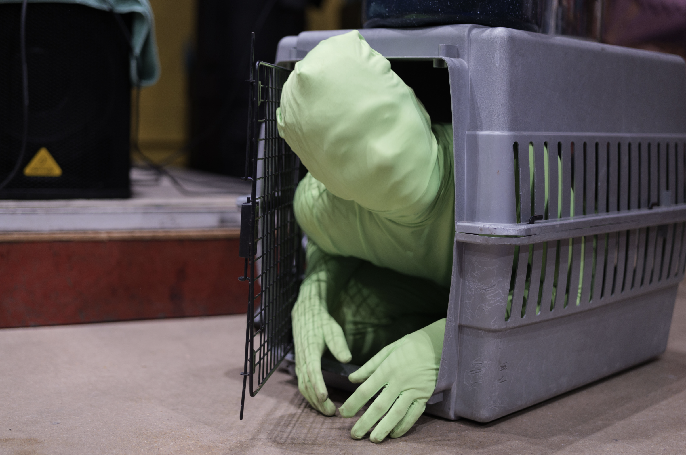 Screenshot 2024-12-19 at 3.21.38 PM.png