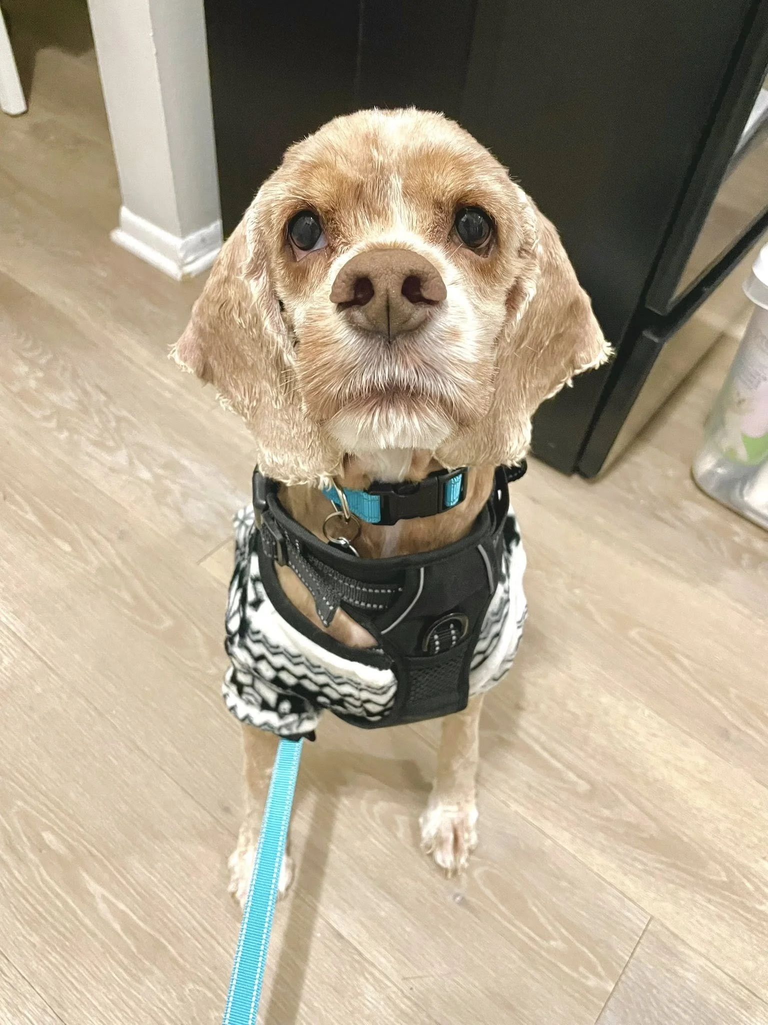 616835964_881185164641033_5512529824405679990_n (1).jpg