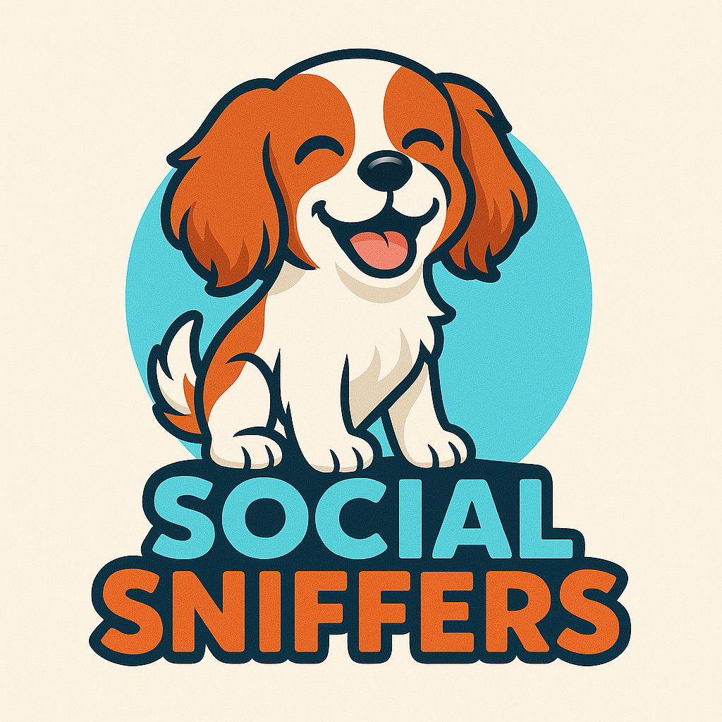 SOCIAL SNIFFERS&mdash; The Playful Path to      Confidence™!