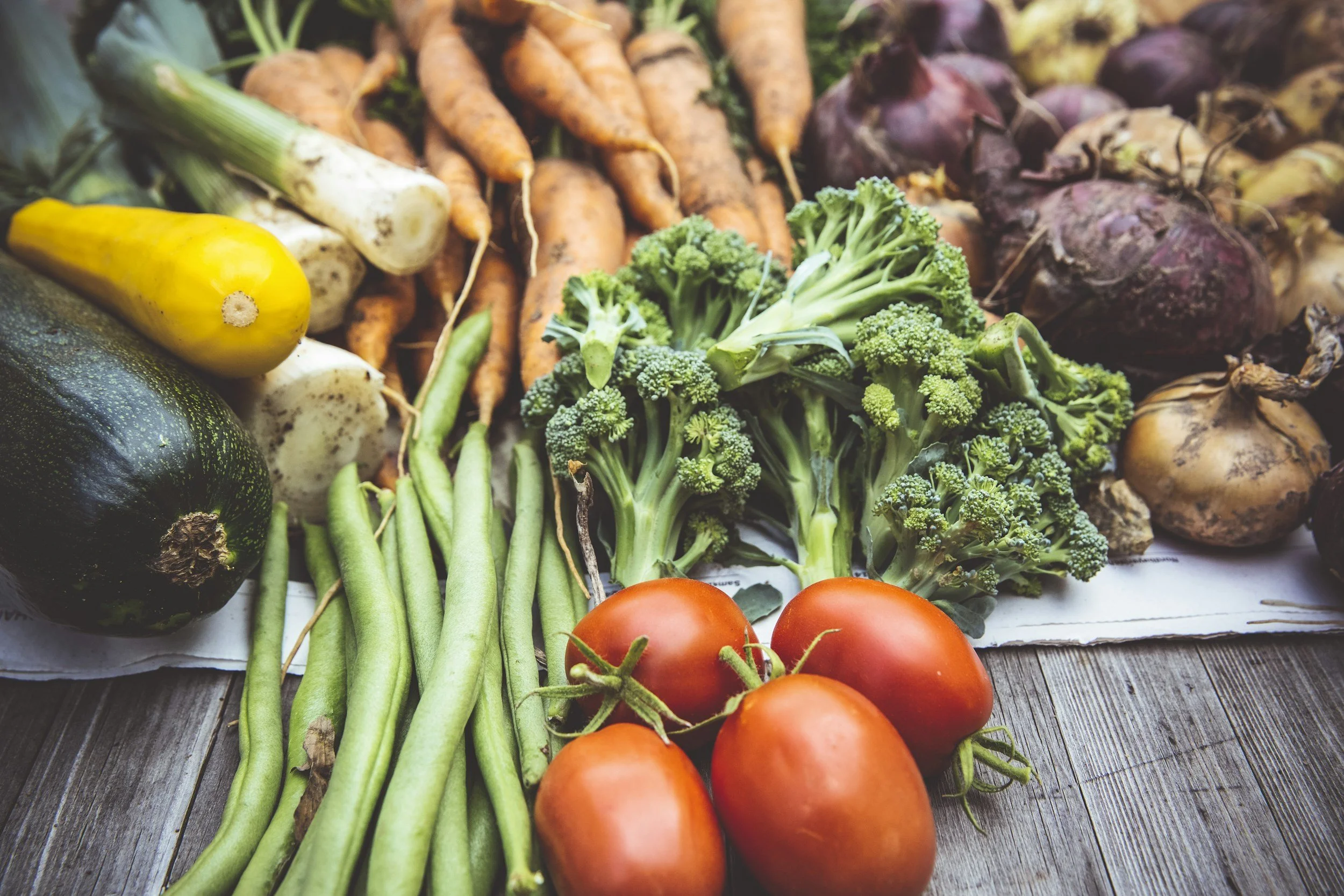 The Gut-Brain Connection: Why Digestive Health Matters in Therapy