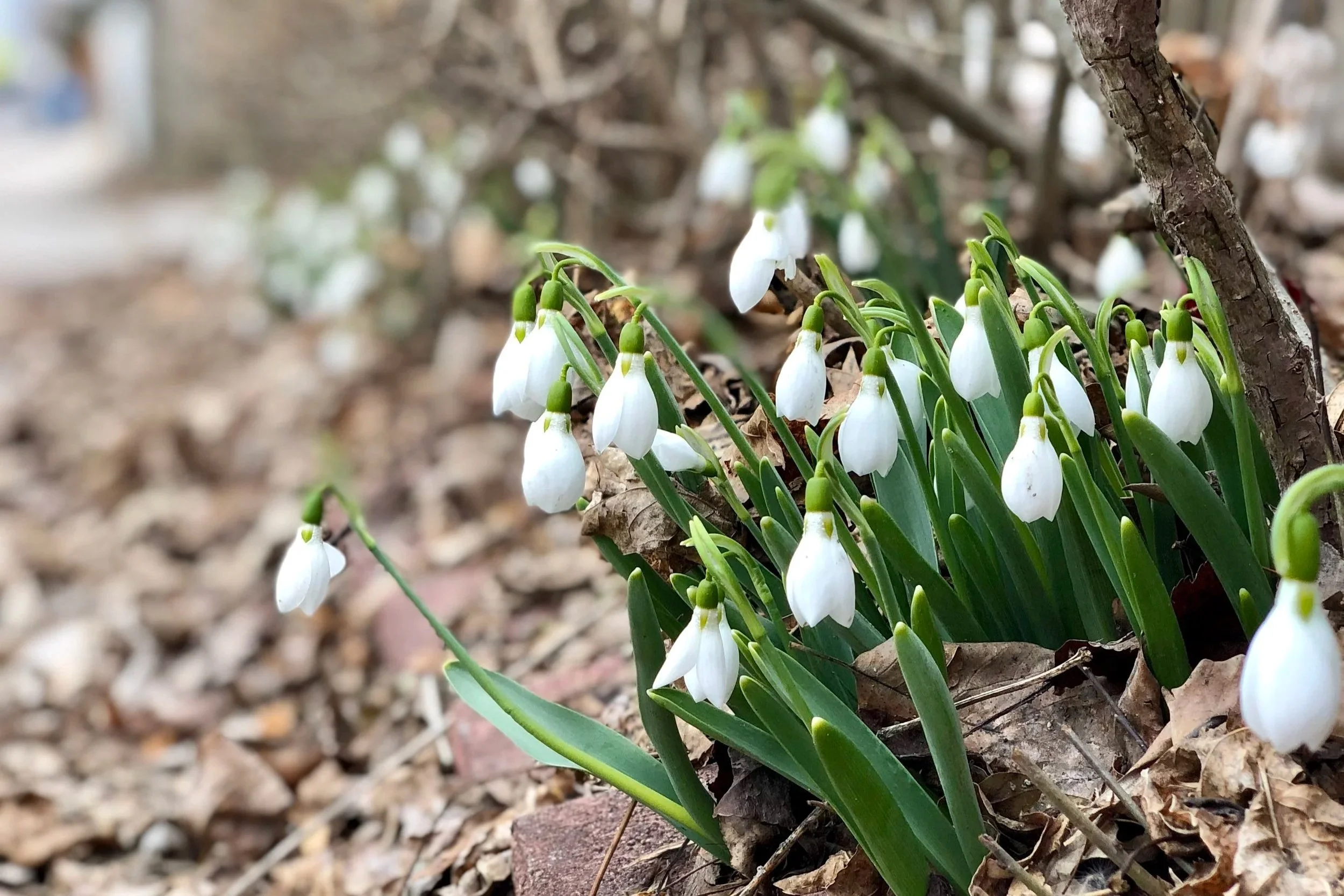 What the Thaw Uncovers: Your Relationship in Spring