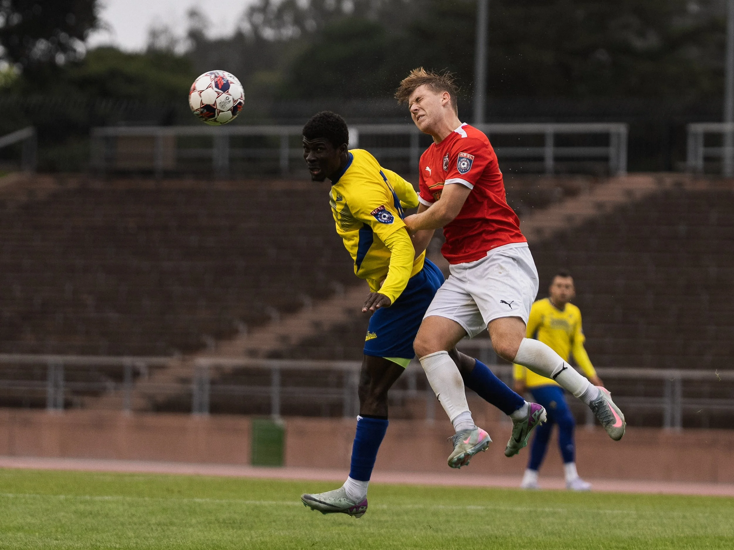 AR500750-2.jpg
